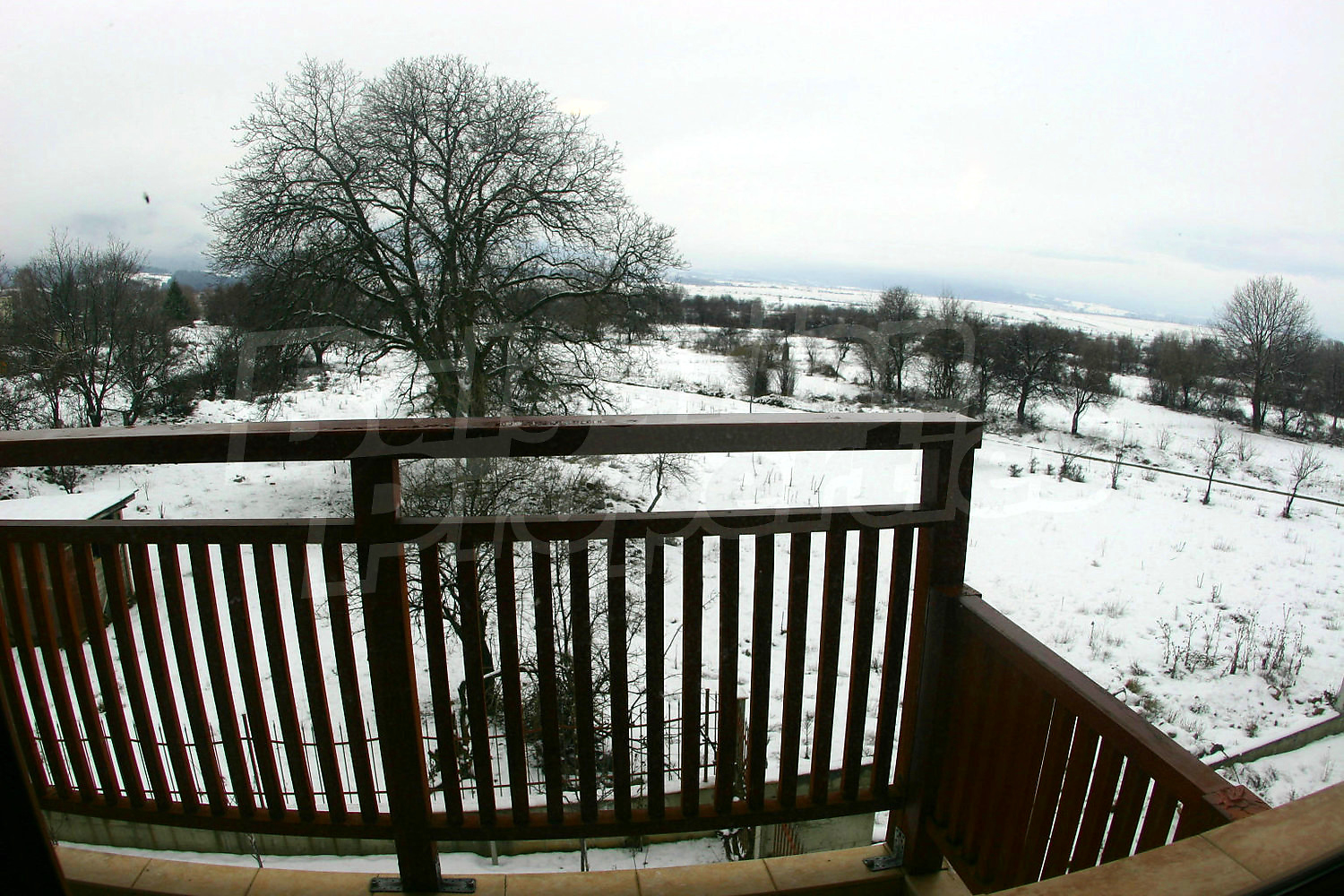 Gallery Picture 32