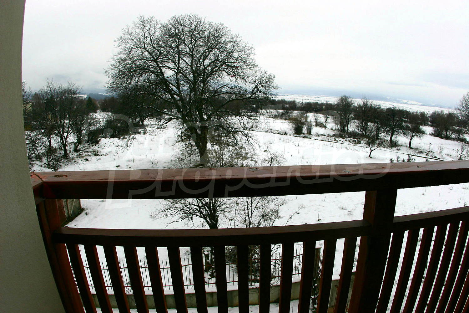 Gallery Picture 33