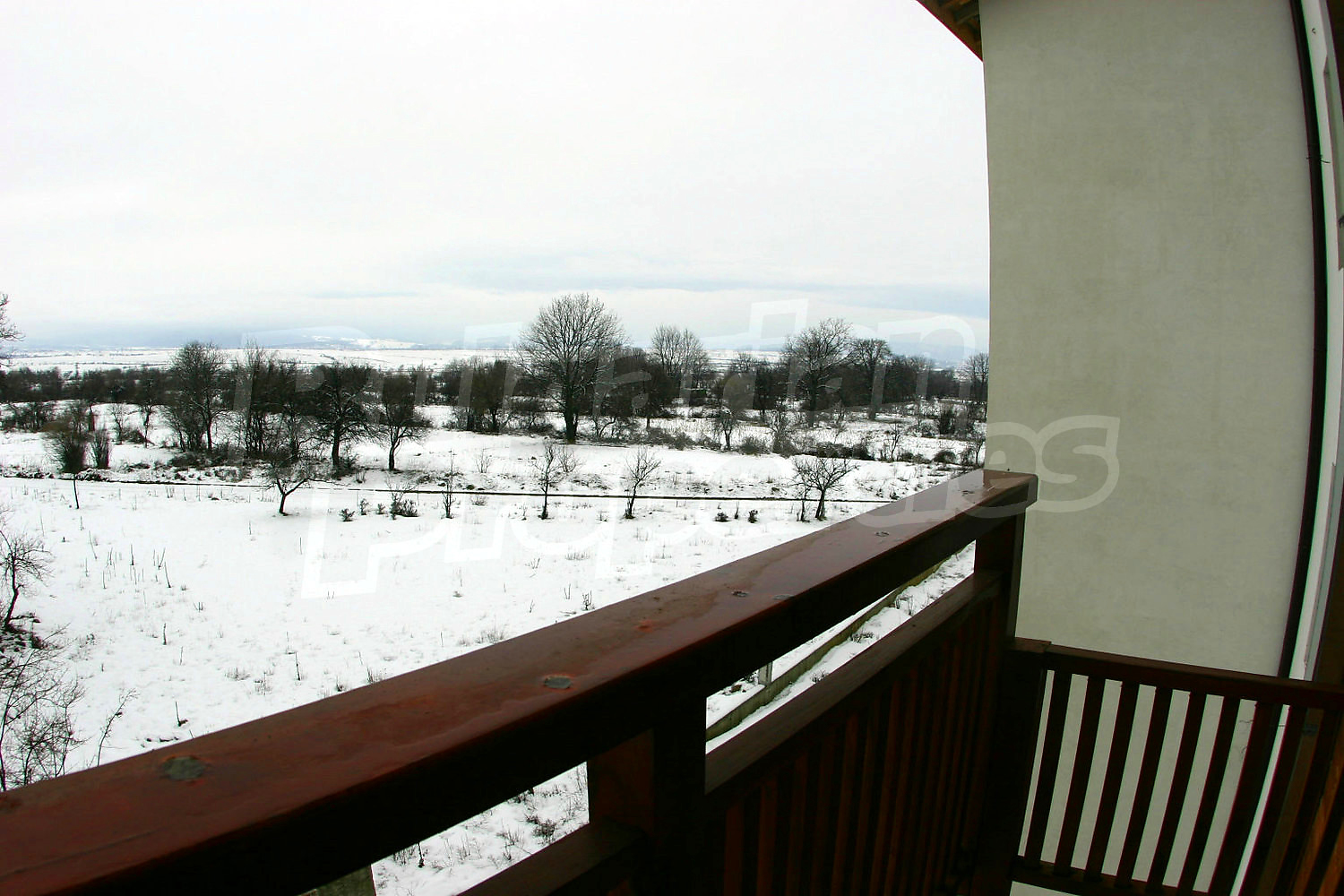 Gallery Picture 34