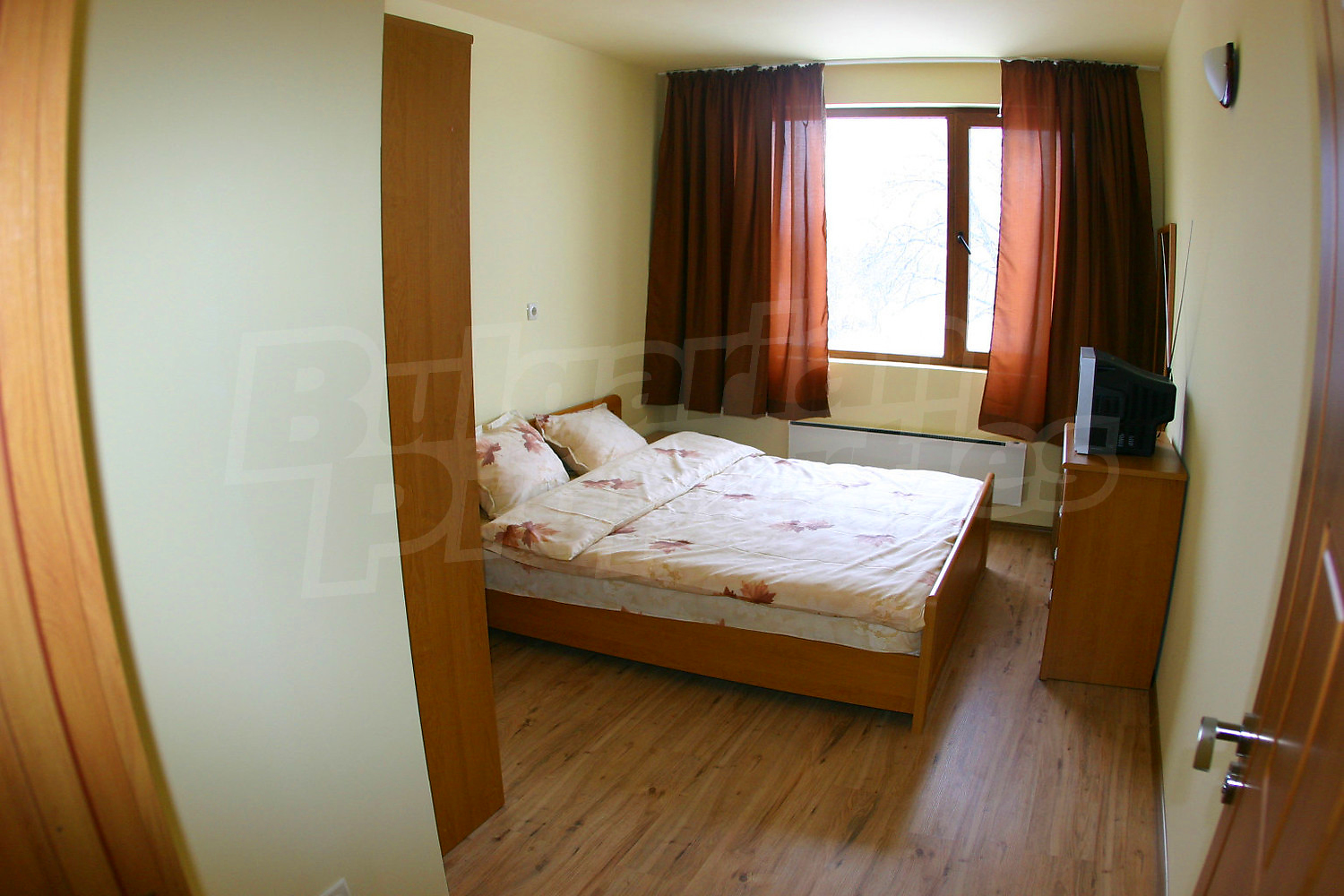 Gallery Picture 36