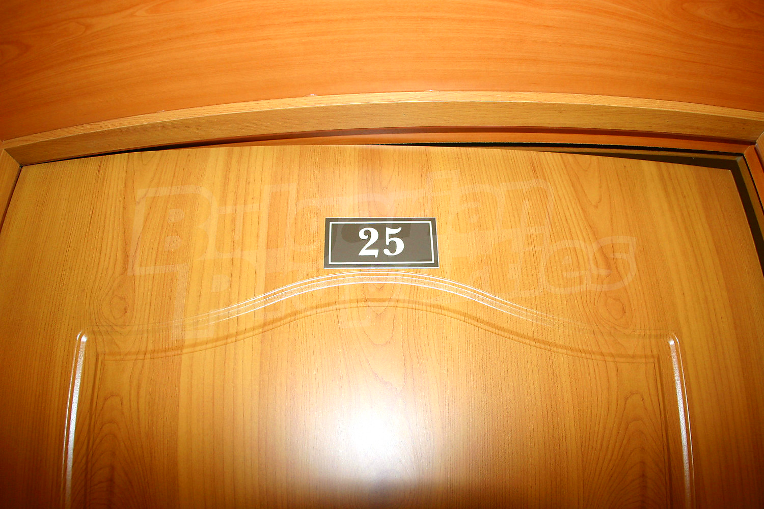 Gallery Picture 41