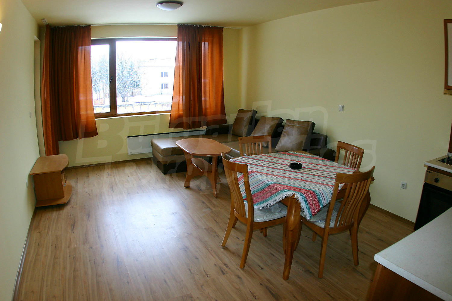 Gallery Picture 42
