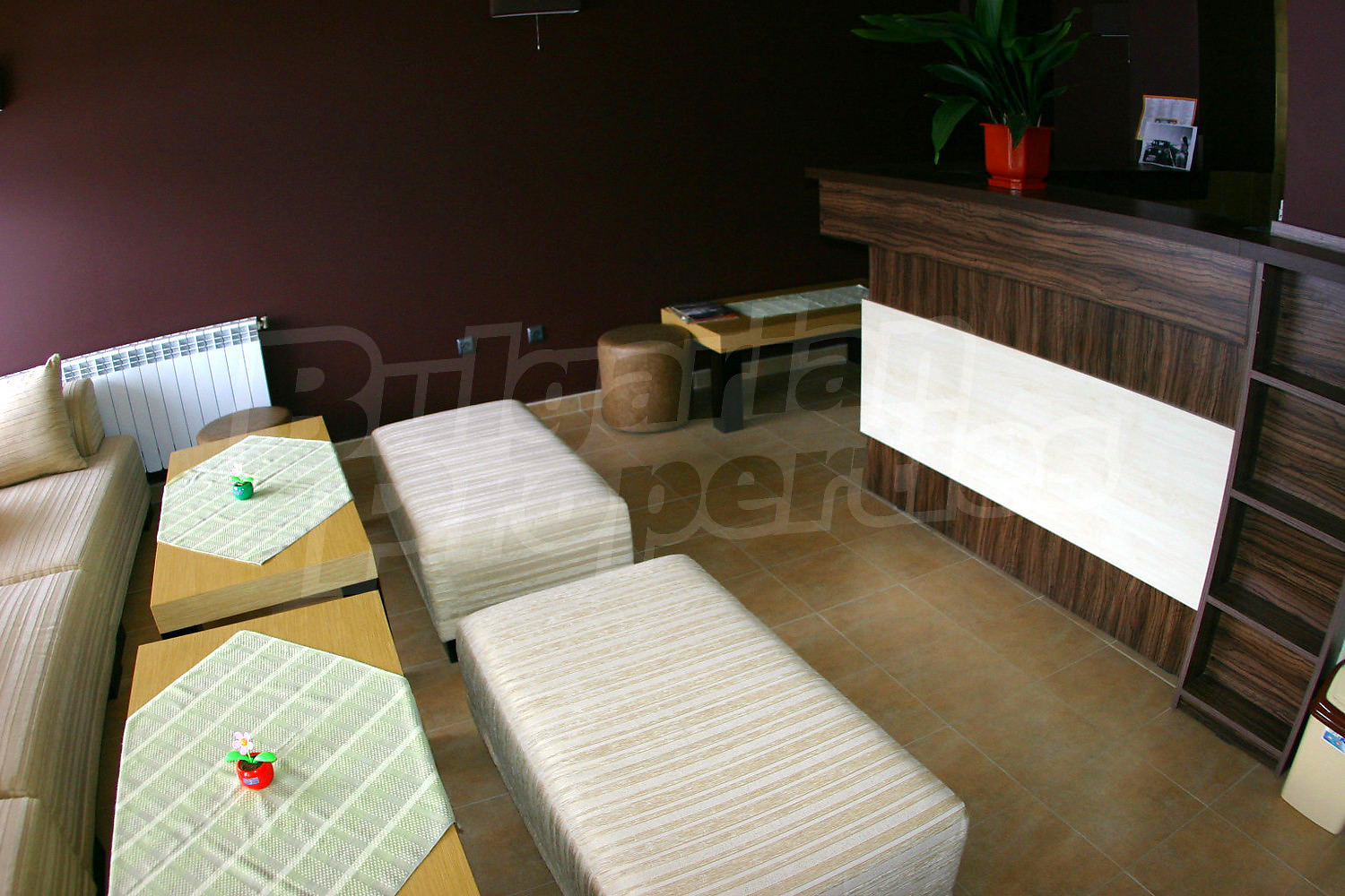 Gallery Picture 53