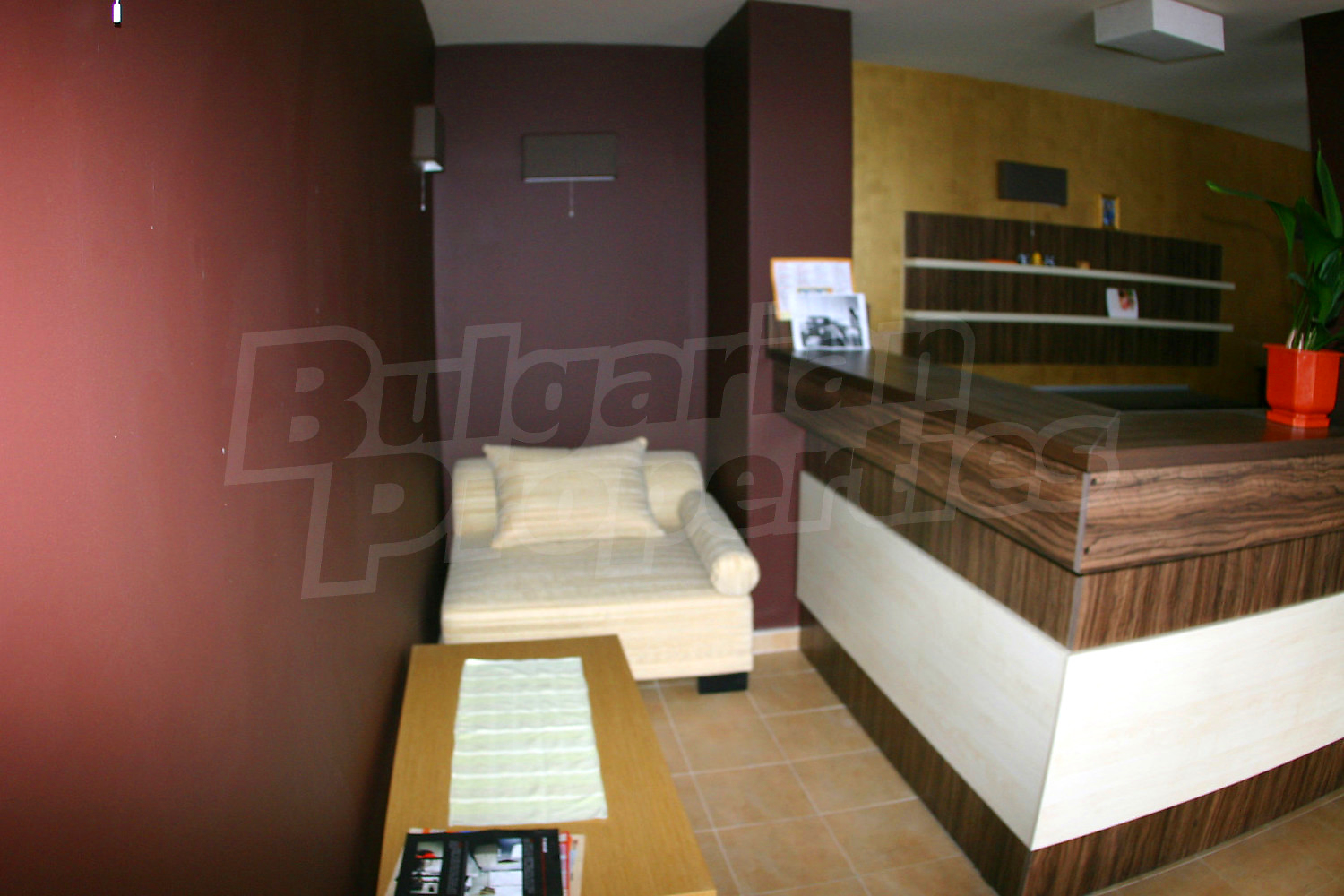 Gallery Picture 54