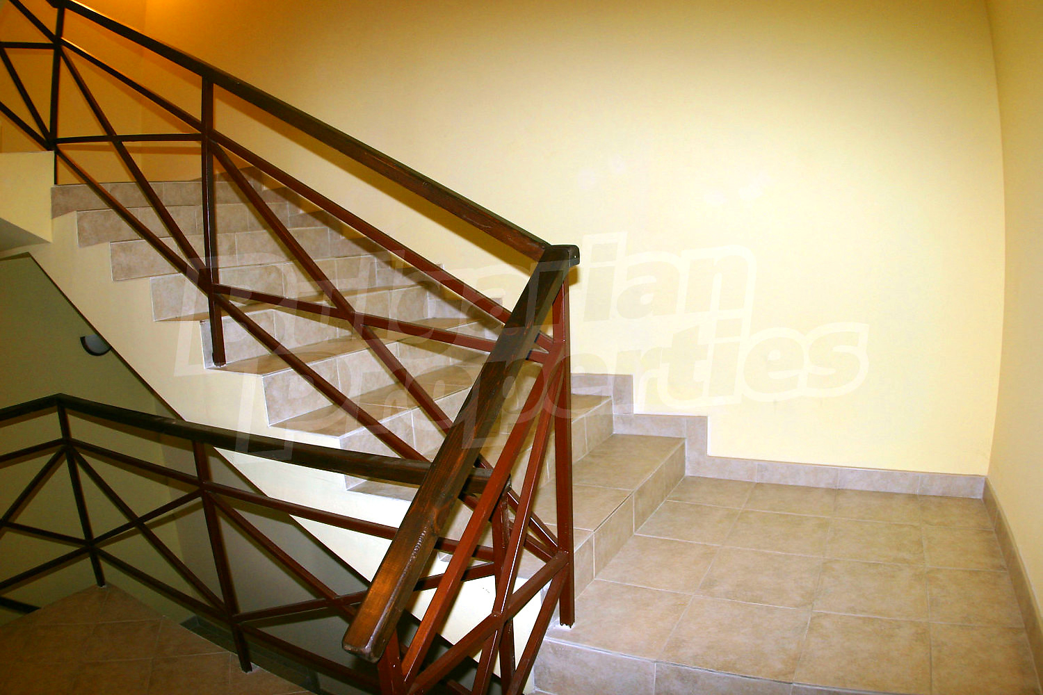 Gallery Picture 56