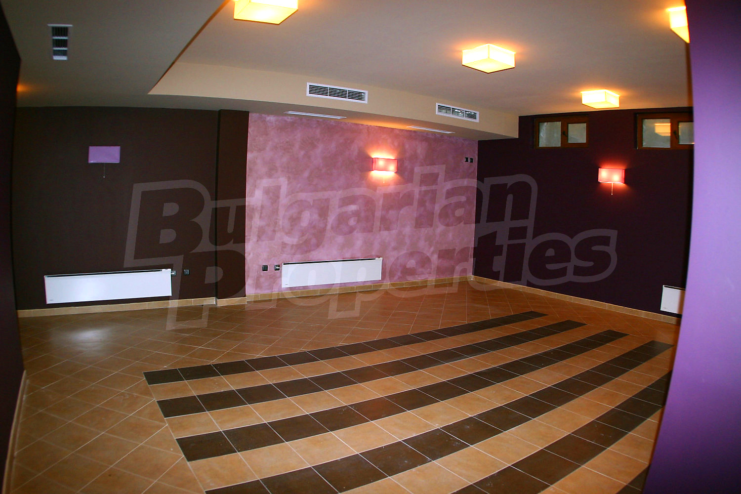 Gallery Picture 58