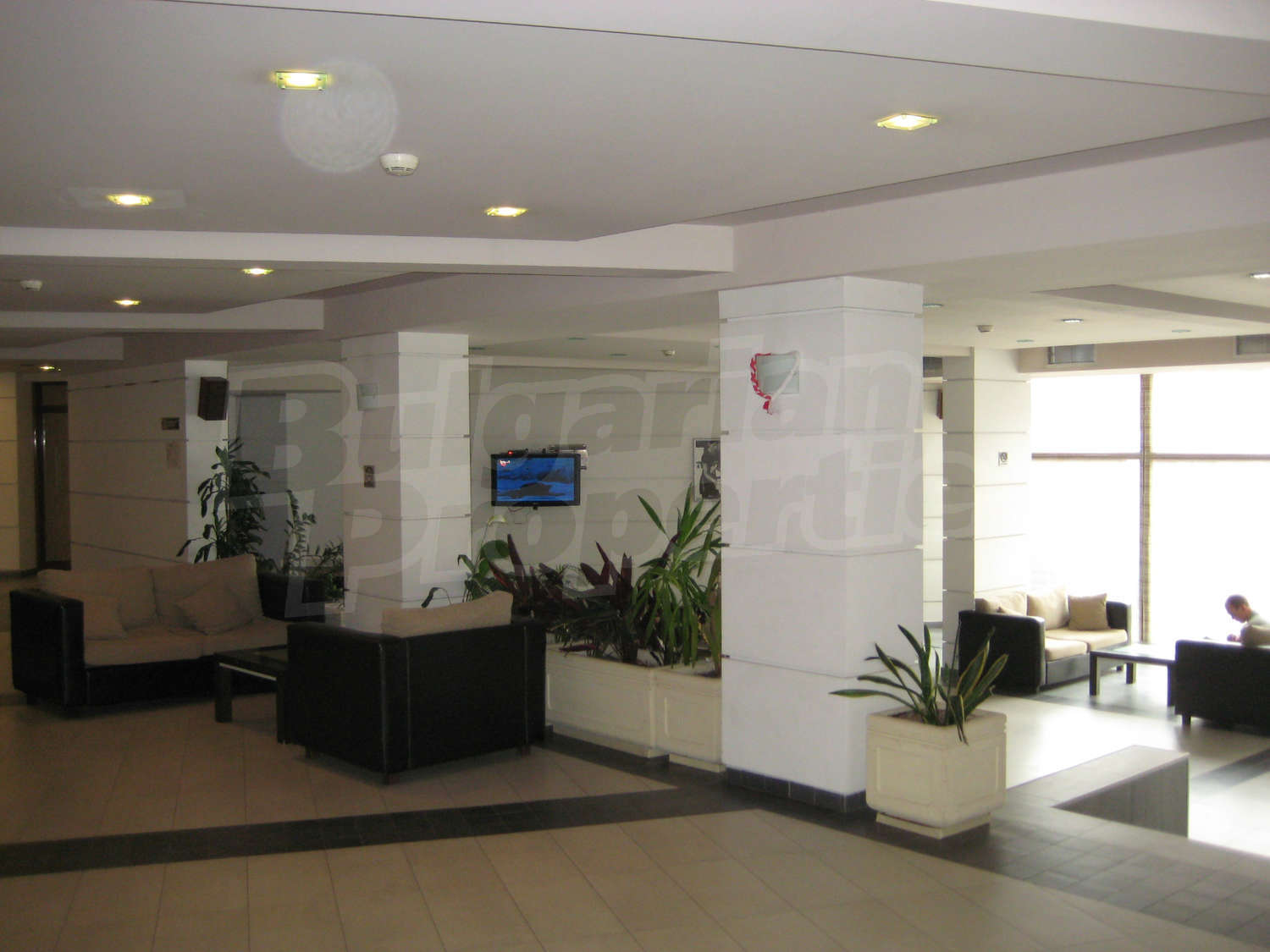Gallery Picture 25