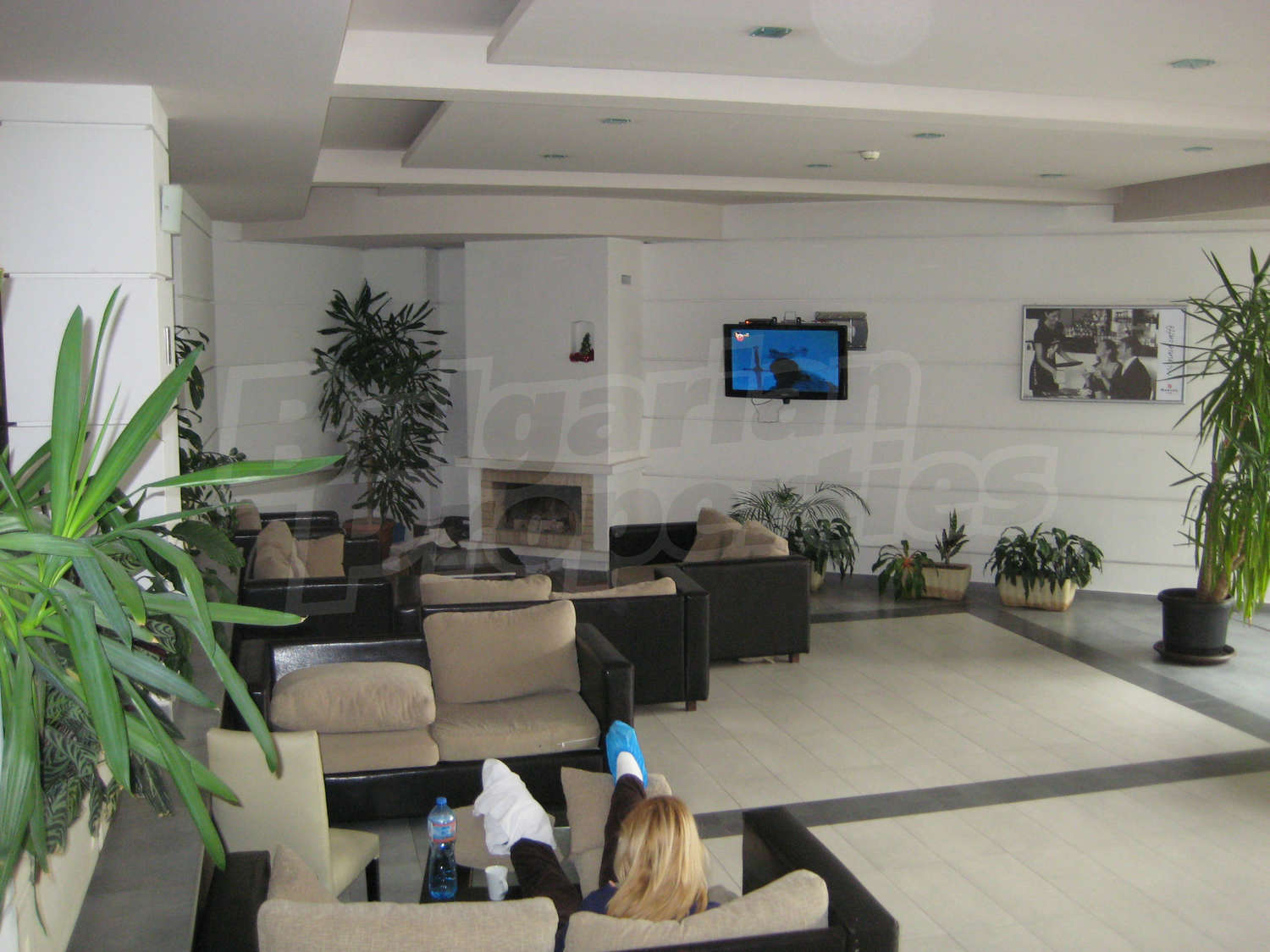 Gallery Picture 27