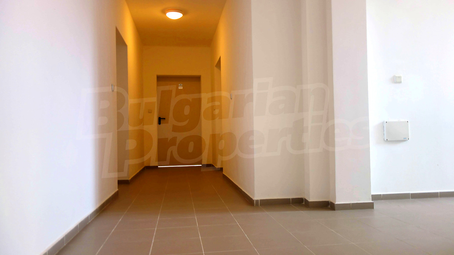 Gallery Picture 15