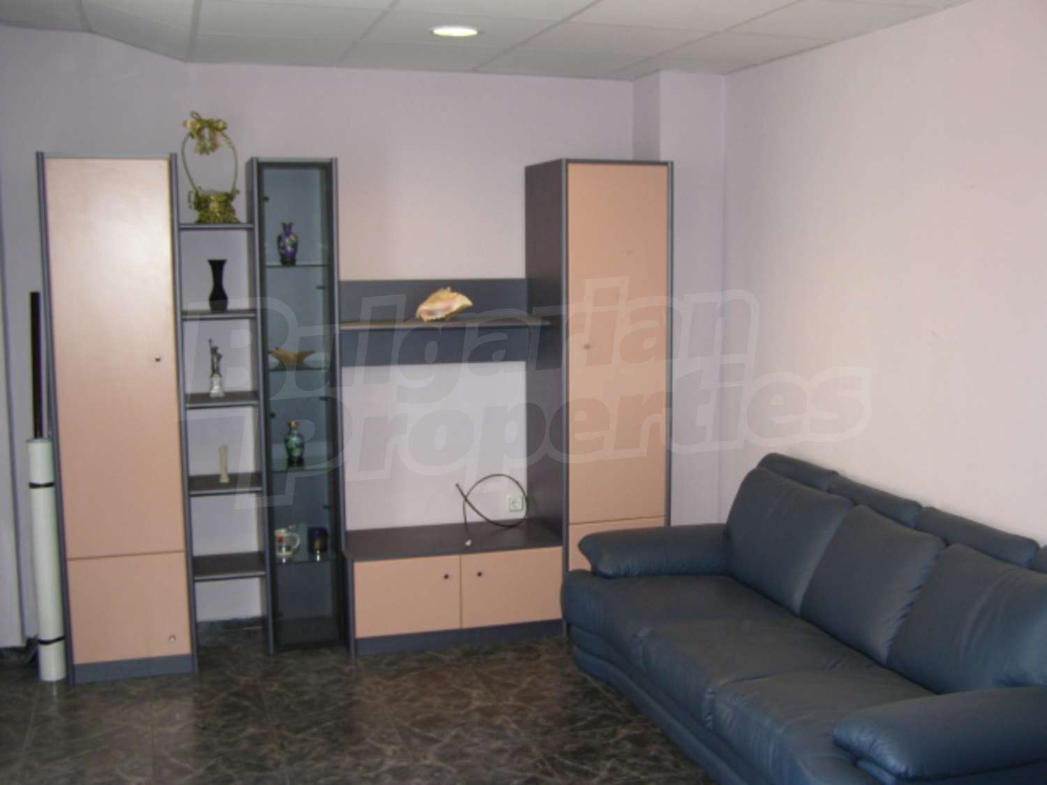 Gallery Picture 12