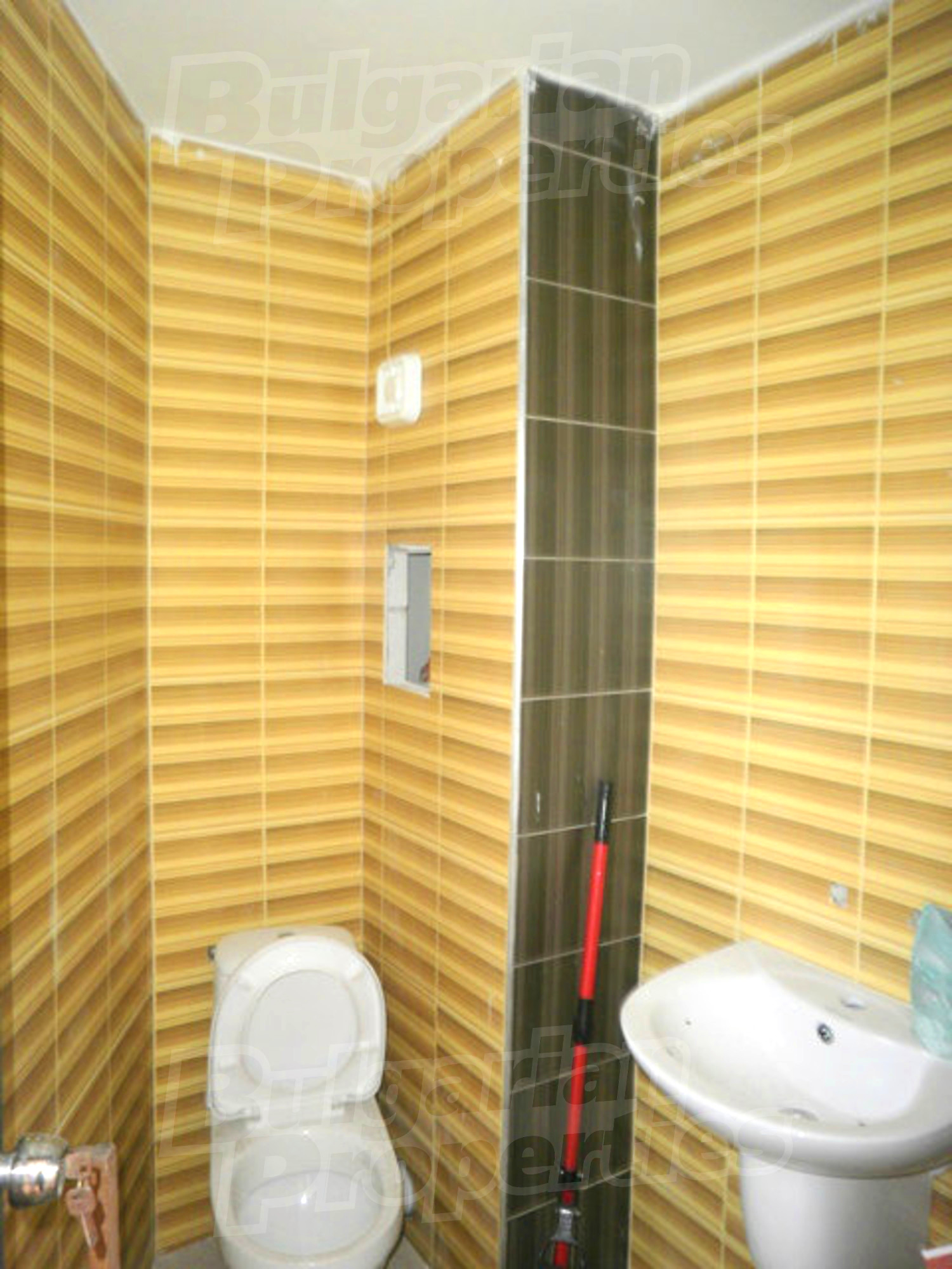 Gallery Picture 17