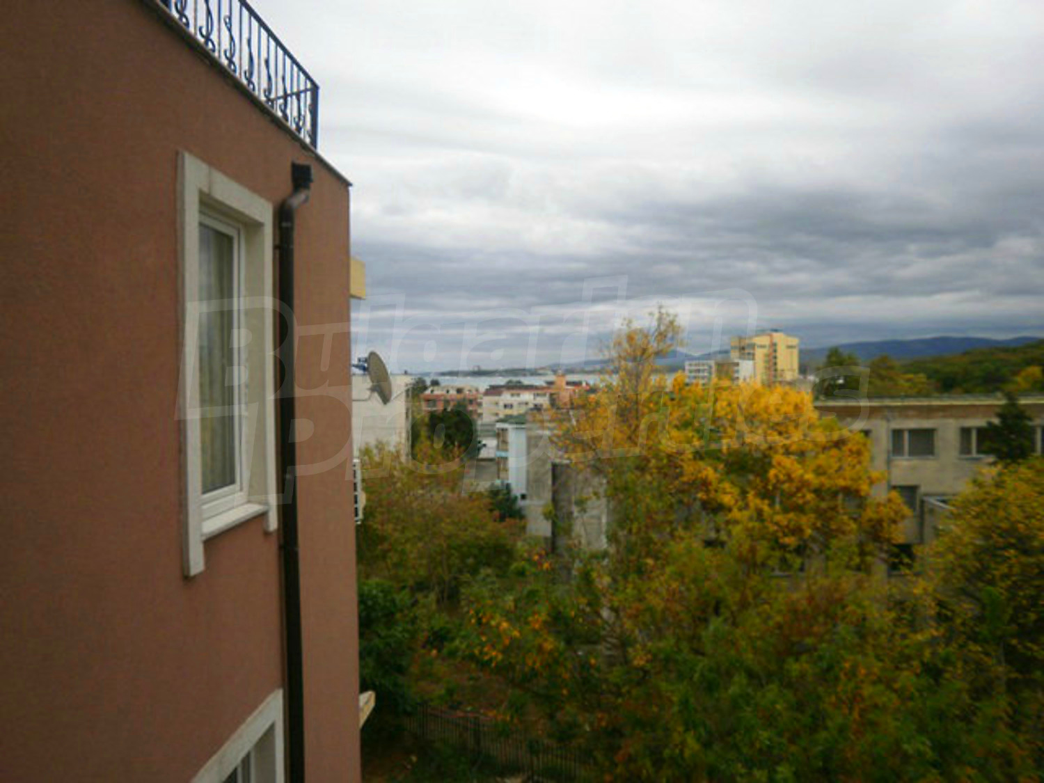 Gallery Picture 27
