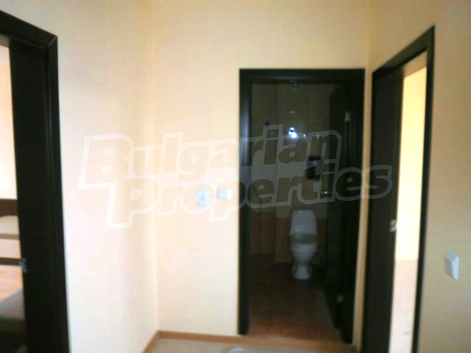 Gallery Picture 7