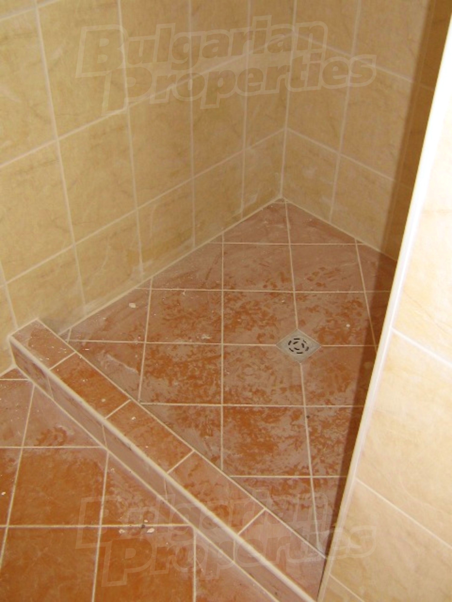 Gallery Picture 12