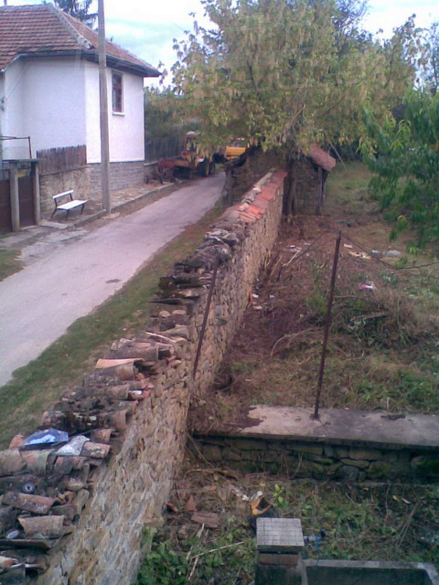 Gallery Picture 10