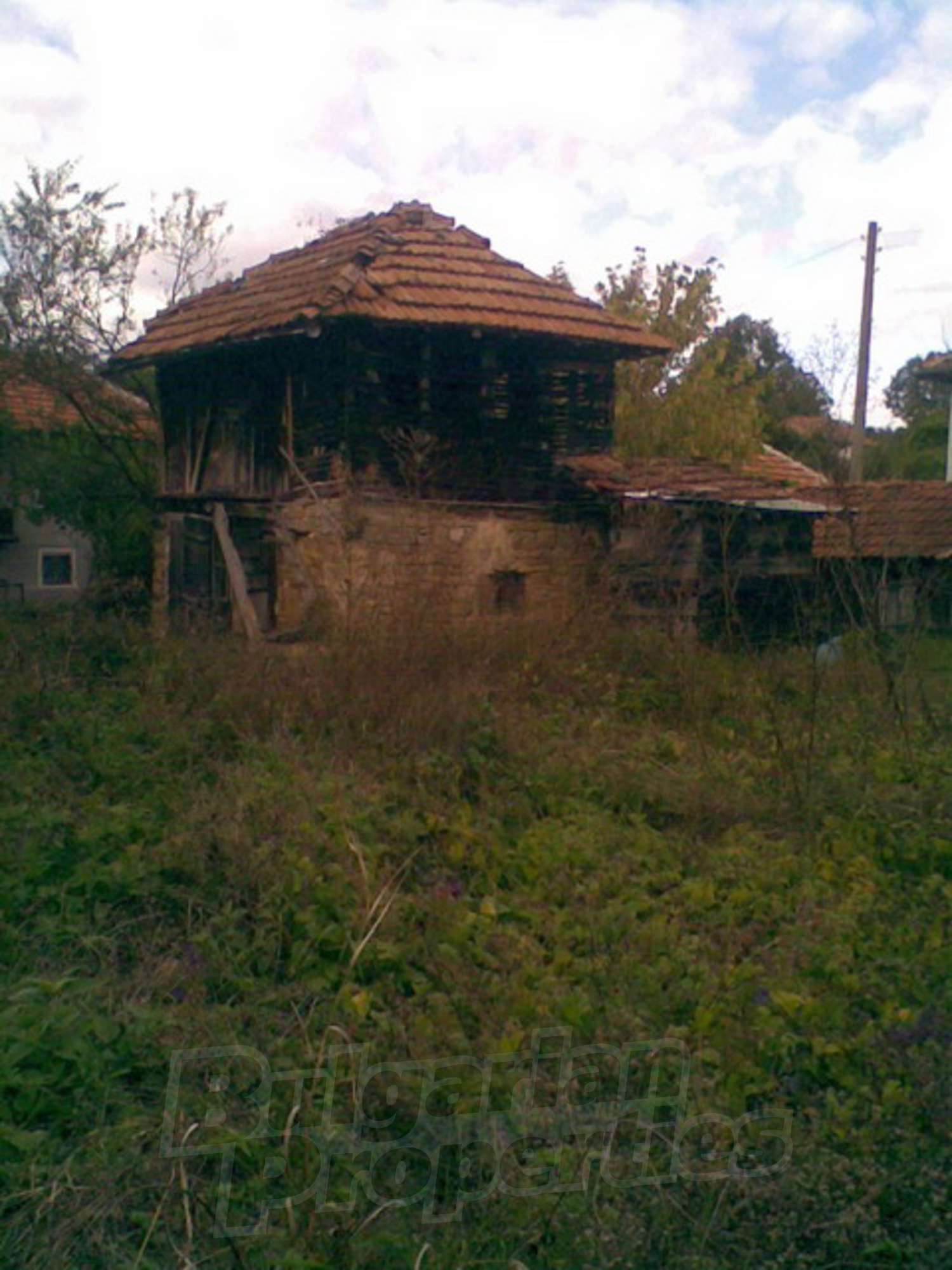 Gallery Picture 11