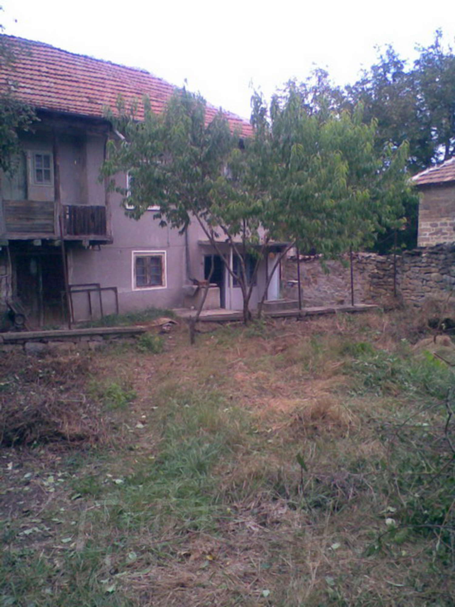 Gallery Picture 12