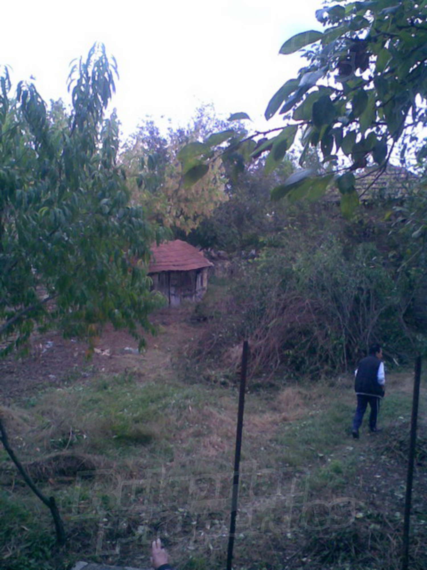 Gallery Picture 13