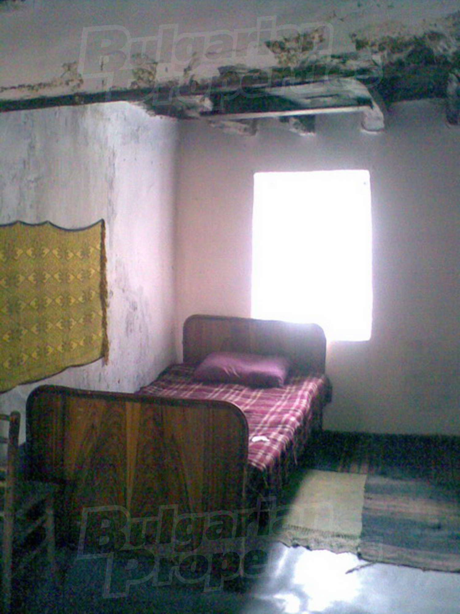 Gallery Picture 5