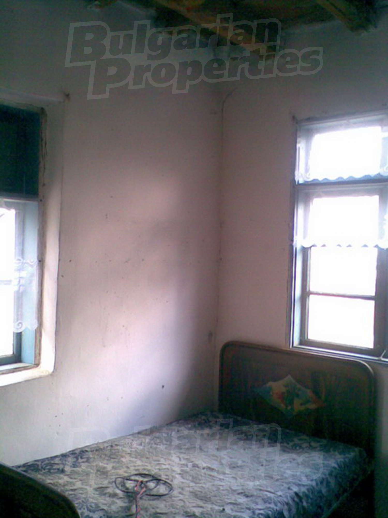 Gallery Picture 7