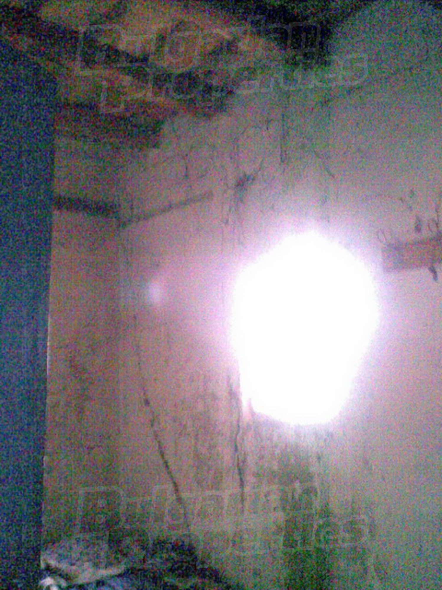 Gallery Picture 9