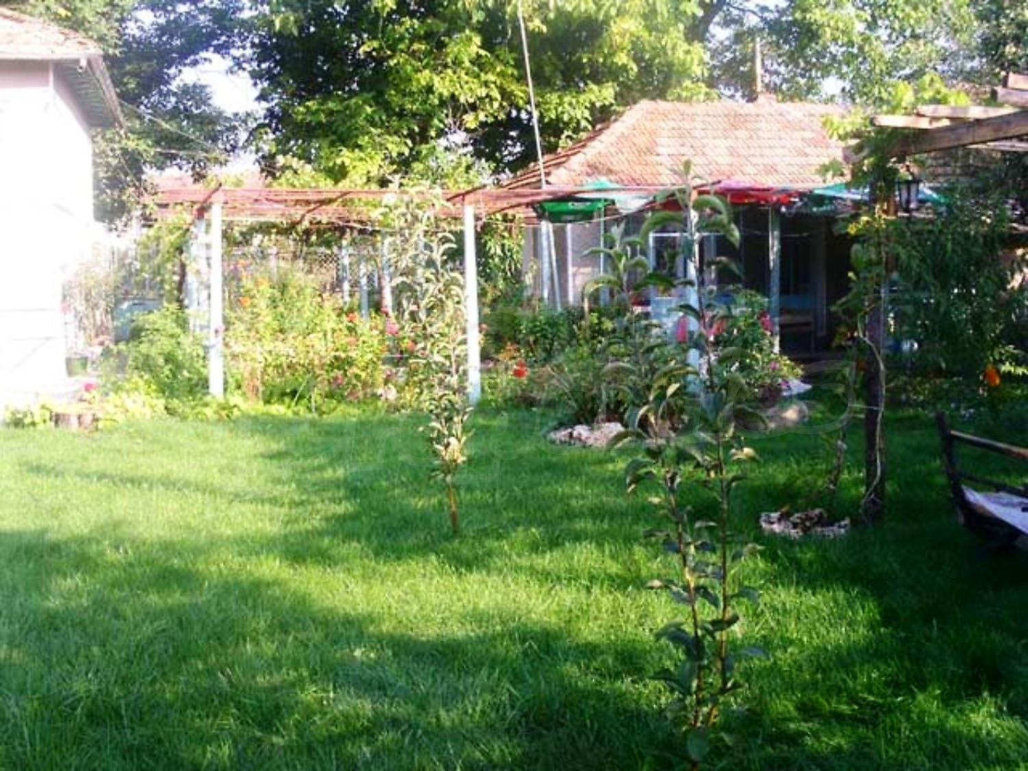 Gallery Picture 10