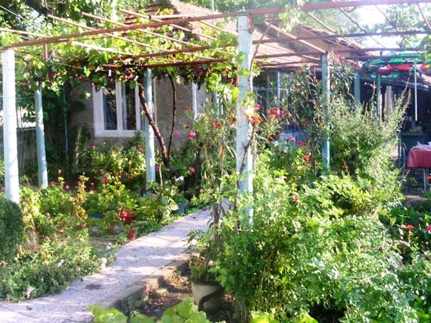 Gallery Picture 11