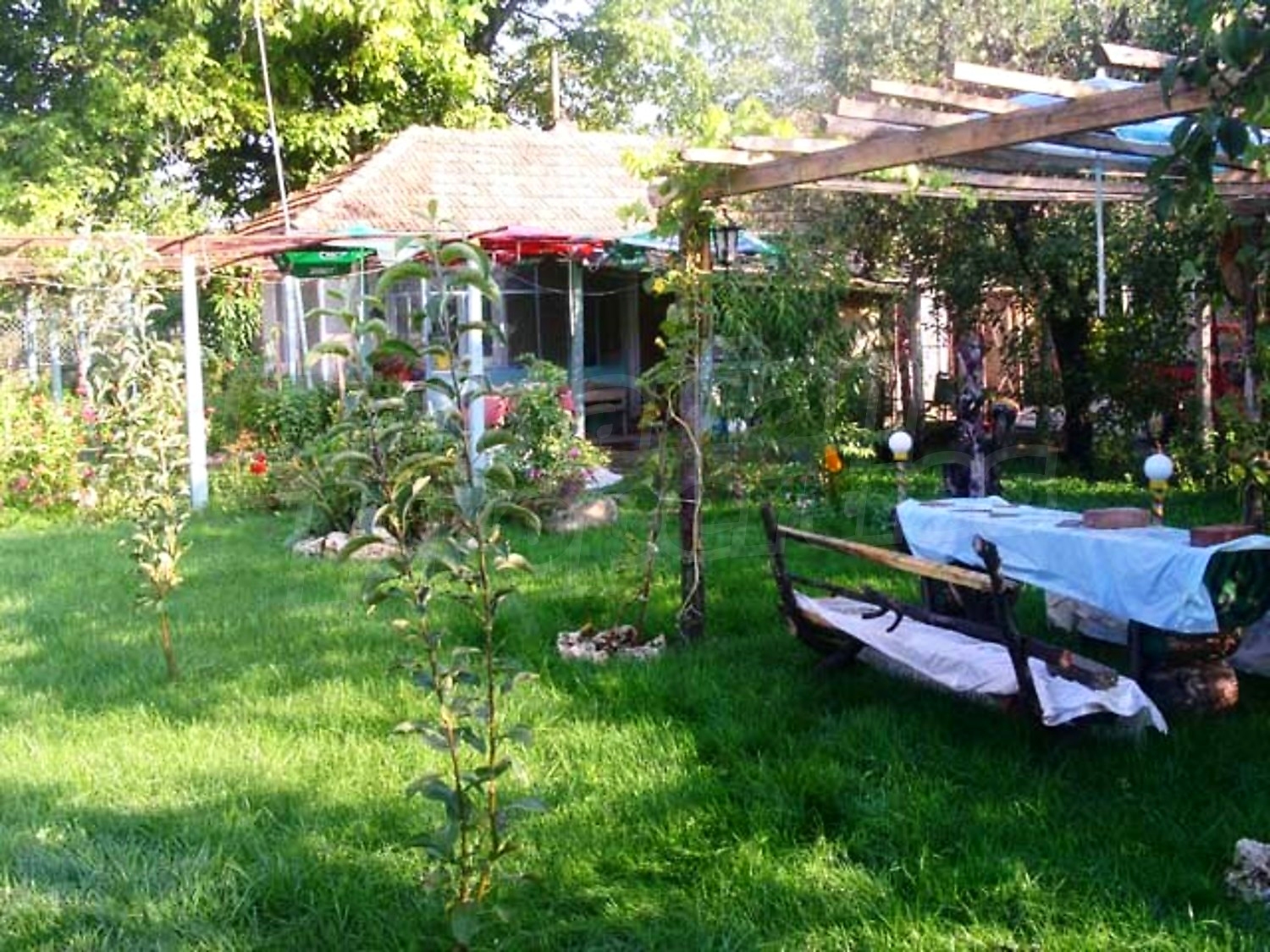 Gallery Picture 15