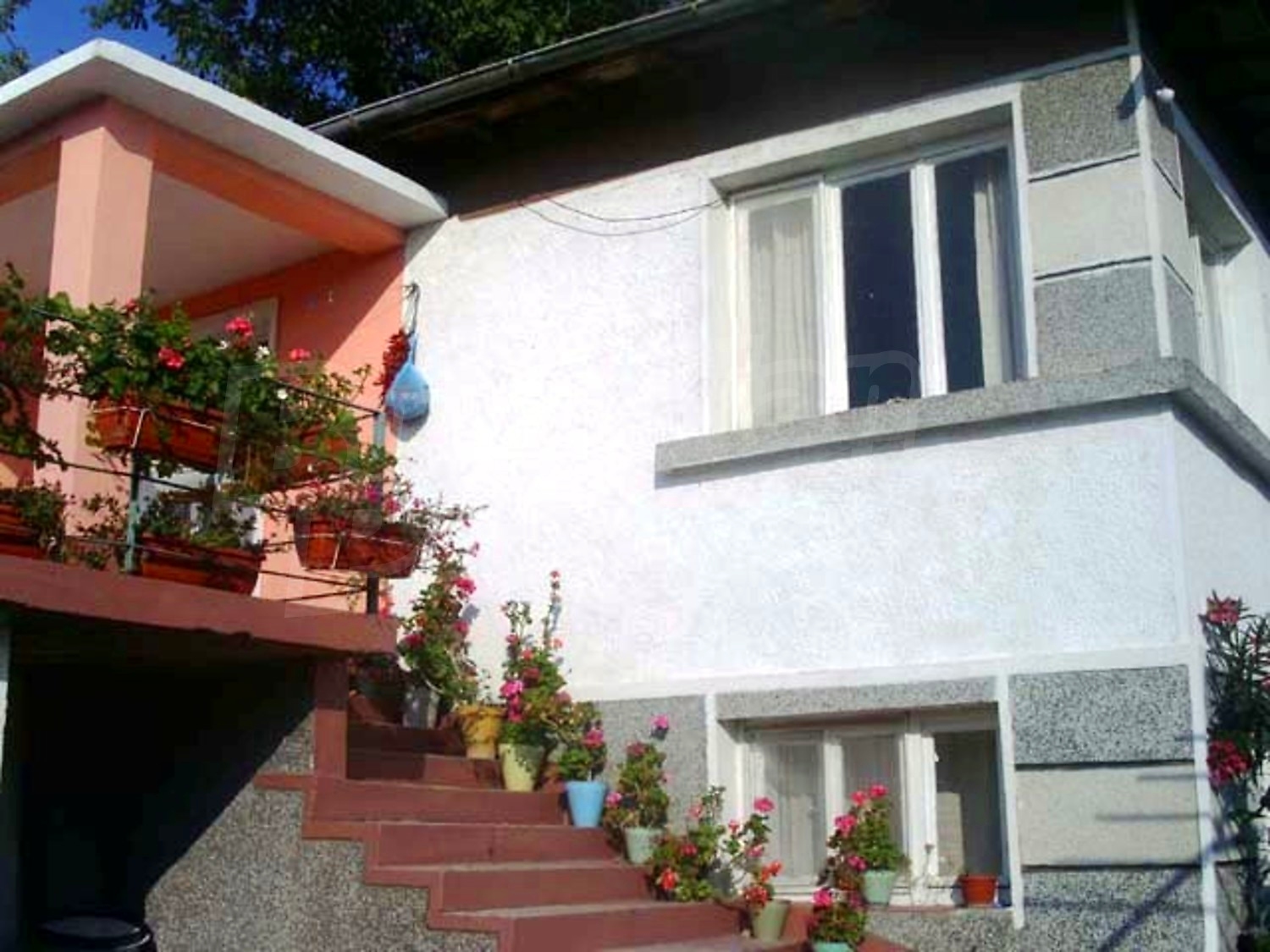 Gallery Picture 6