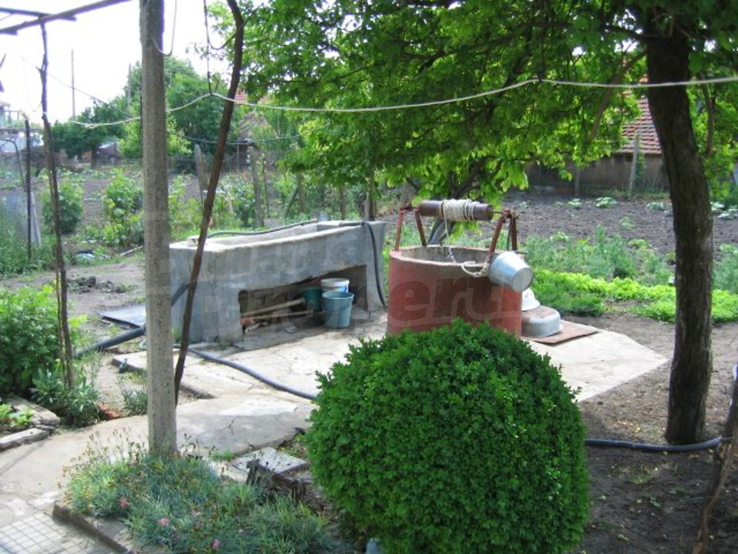 Gallery Picture 10