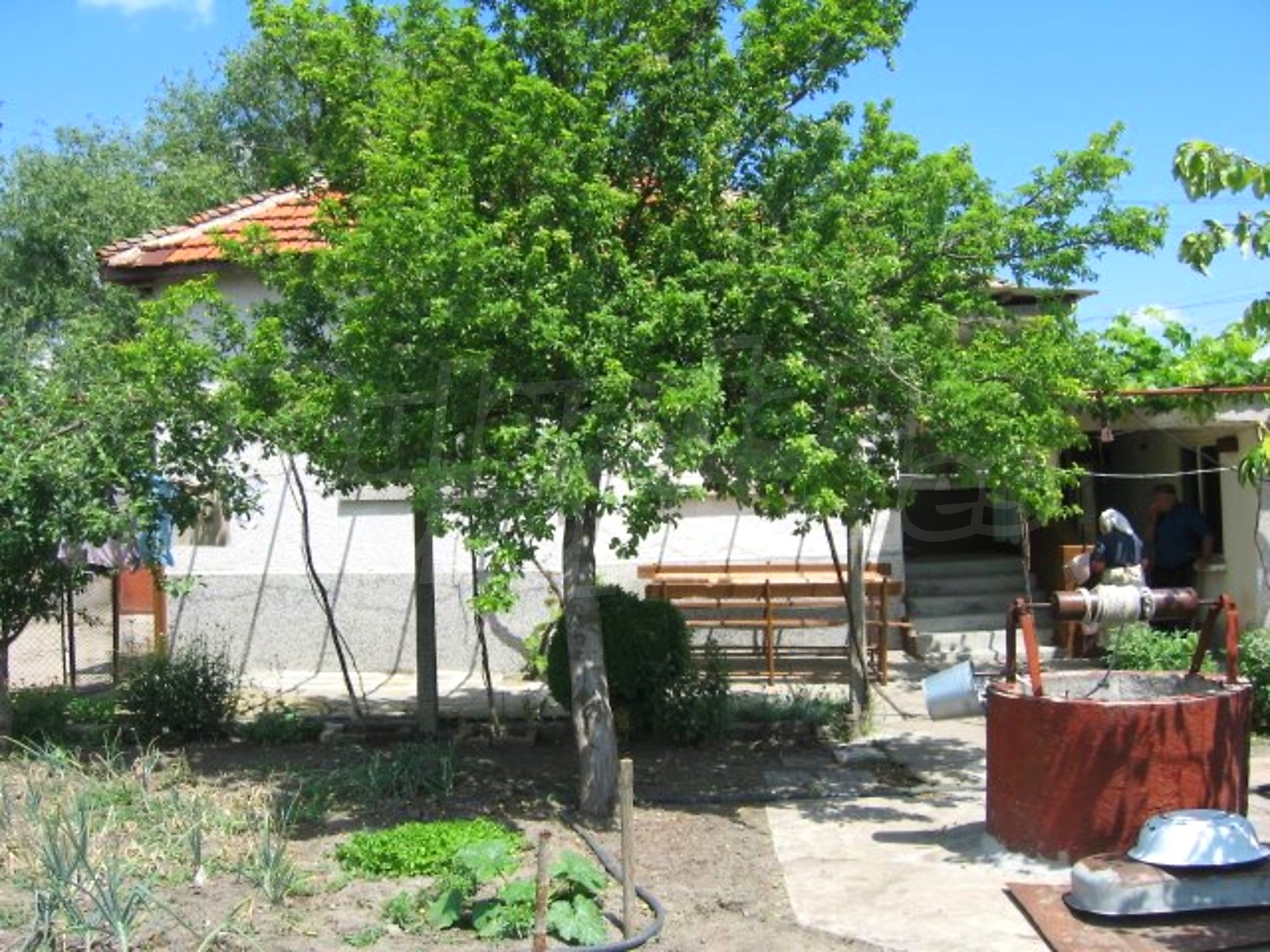 Gallery Picture 3