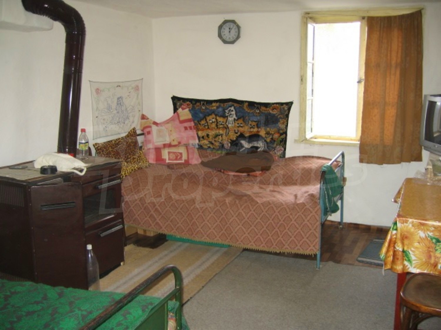 Gallery Picture 7