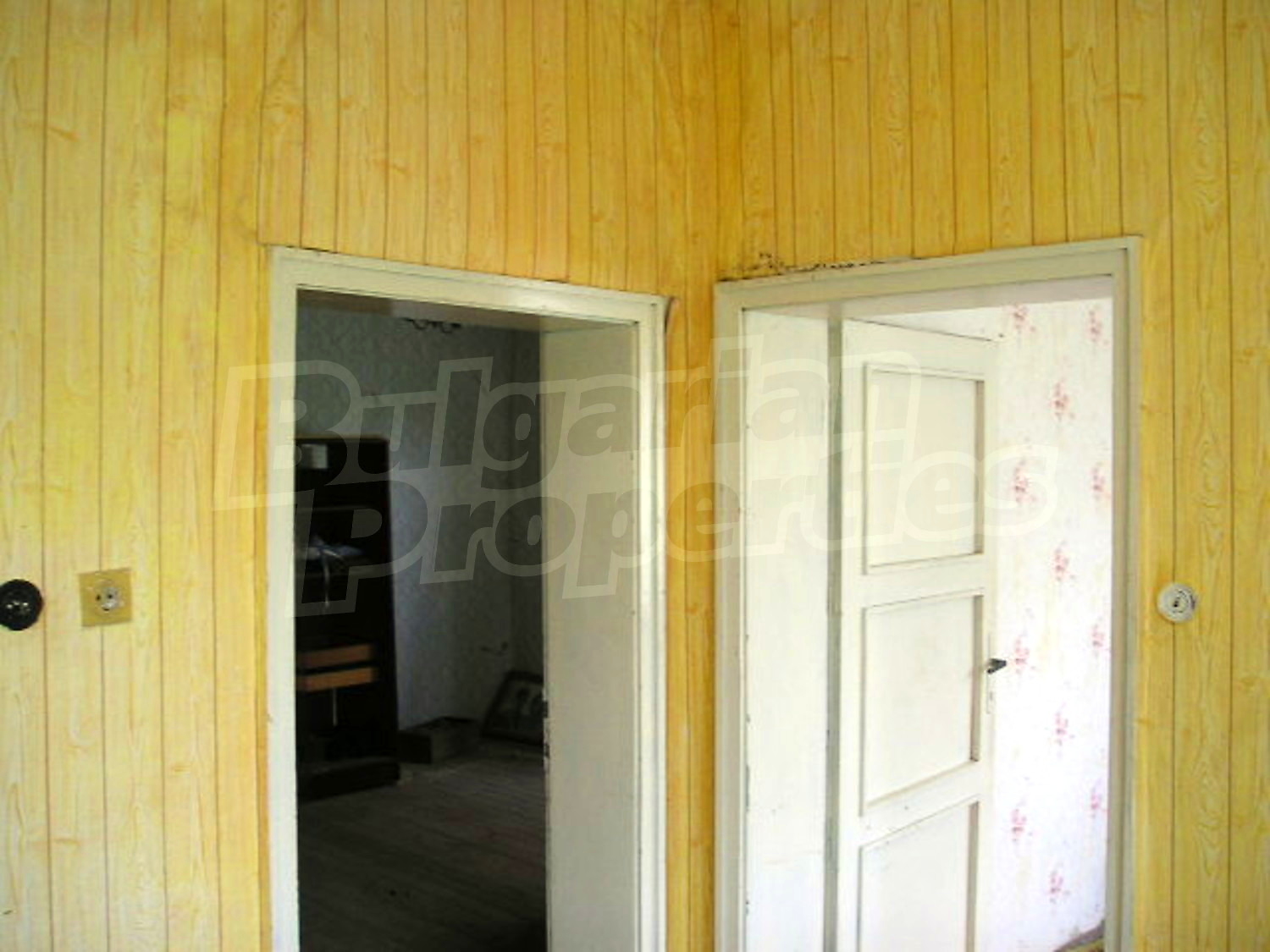 Gallery Picture 11