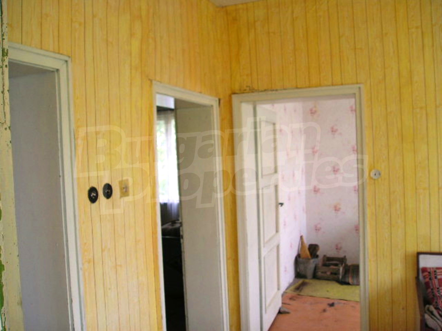 Gallery Picture 12