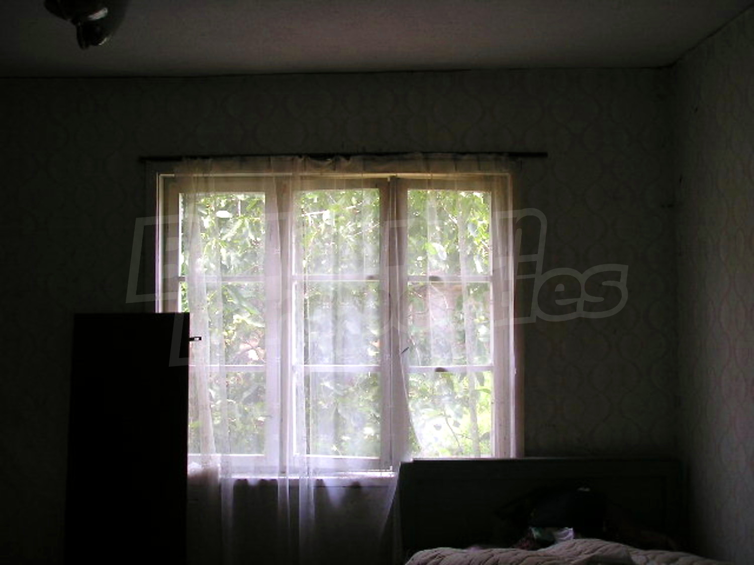 Gallery Picture 9