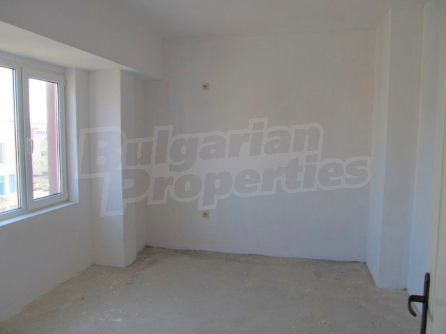 Gallery Picture 12