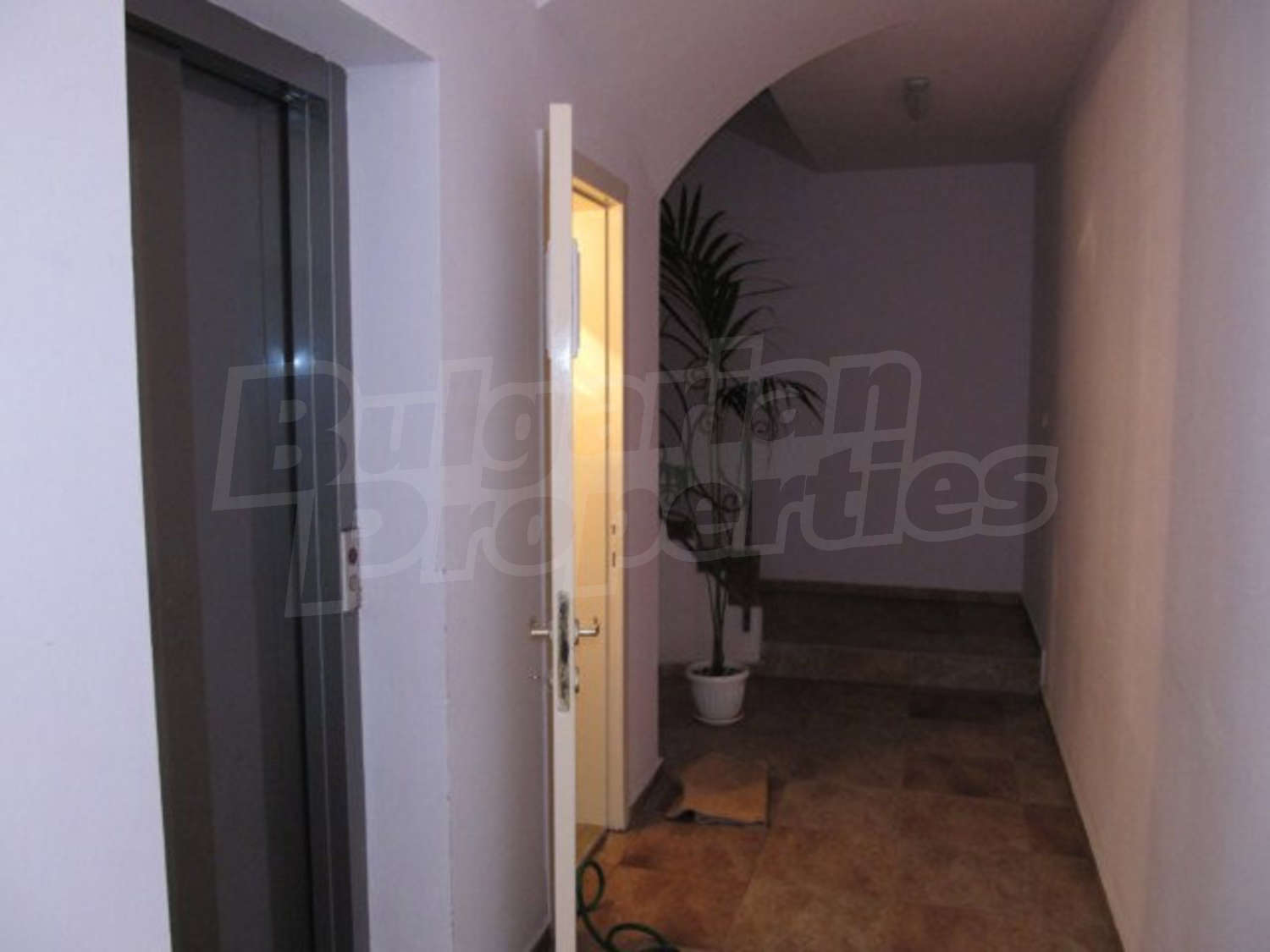 Gallery Picture 3