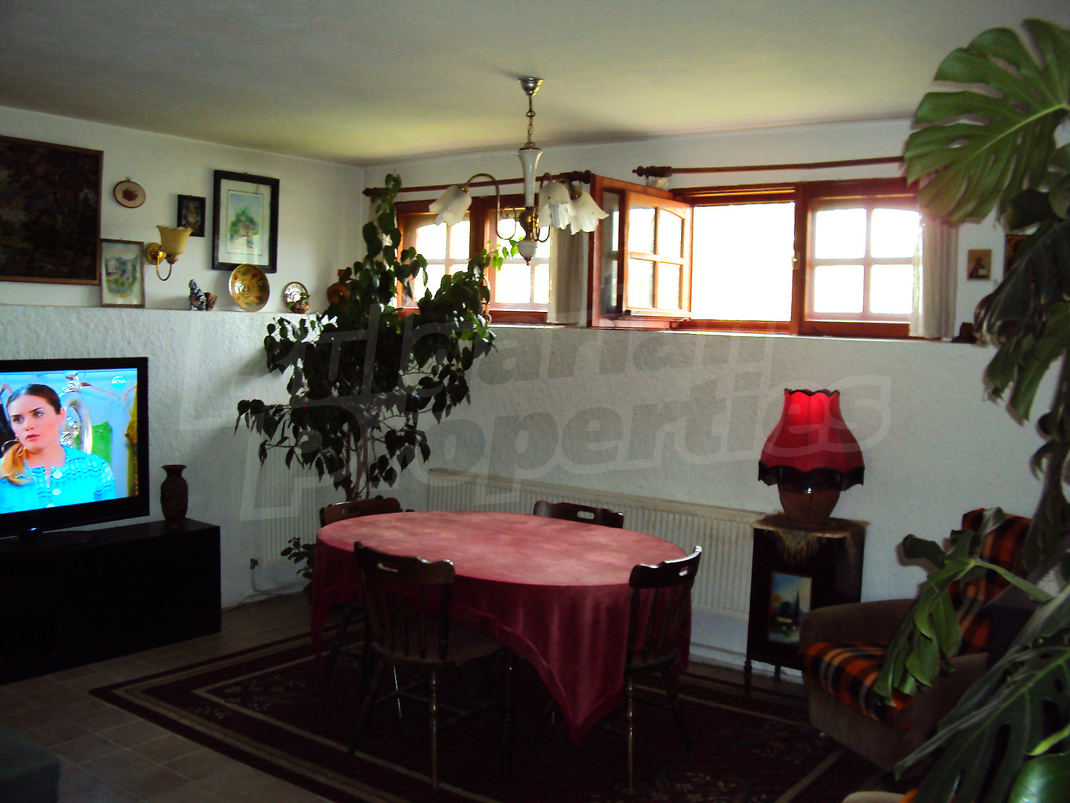 Gallery Picture 38