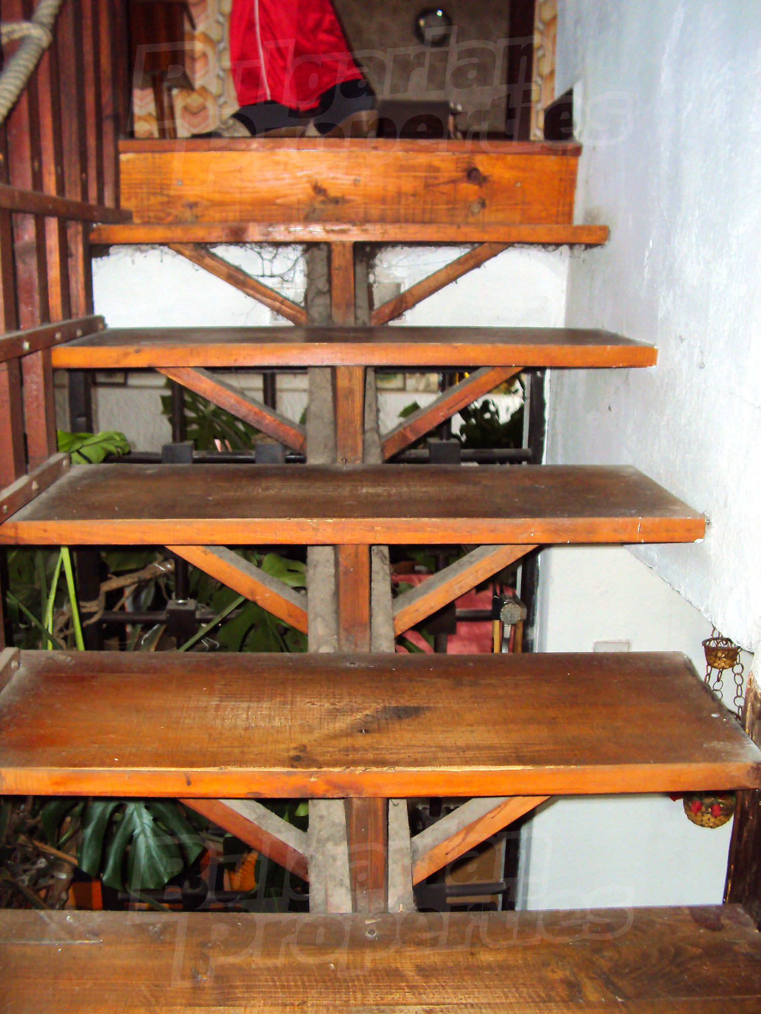 Gallery Picture 41