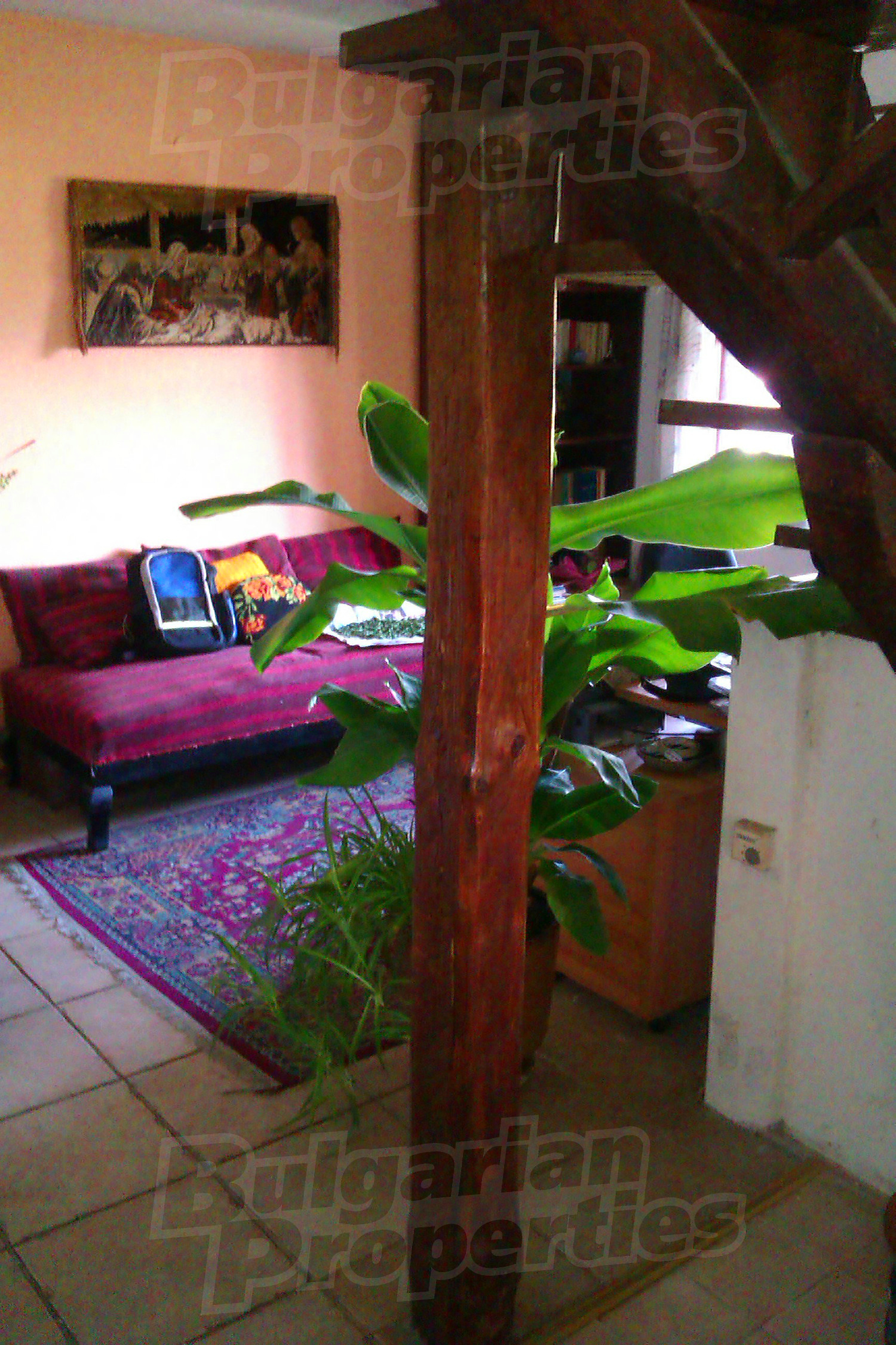 Gallery Picture 8