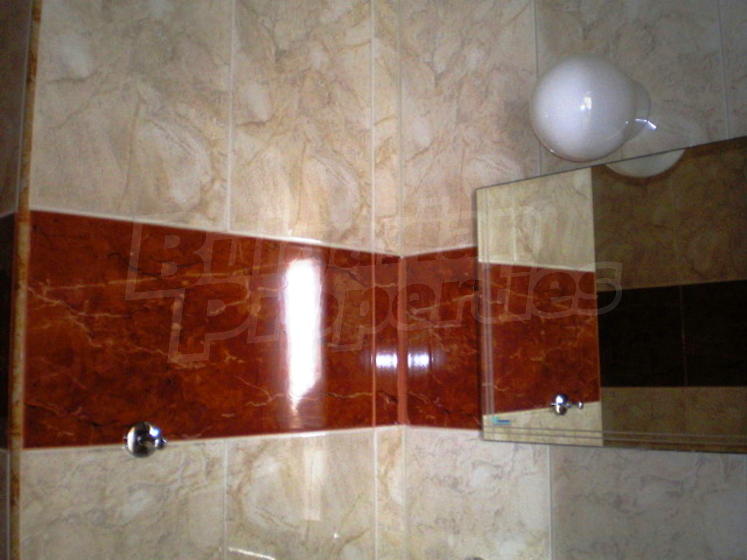 Gallery Picture 16