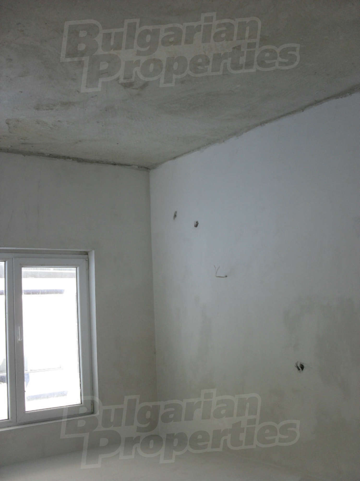 Gallery Picture 29