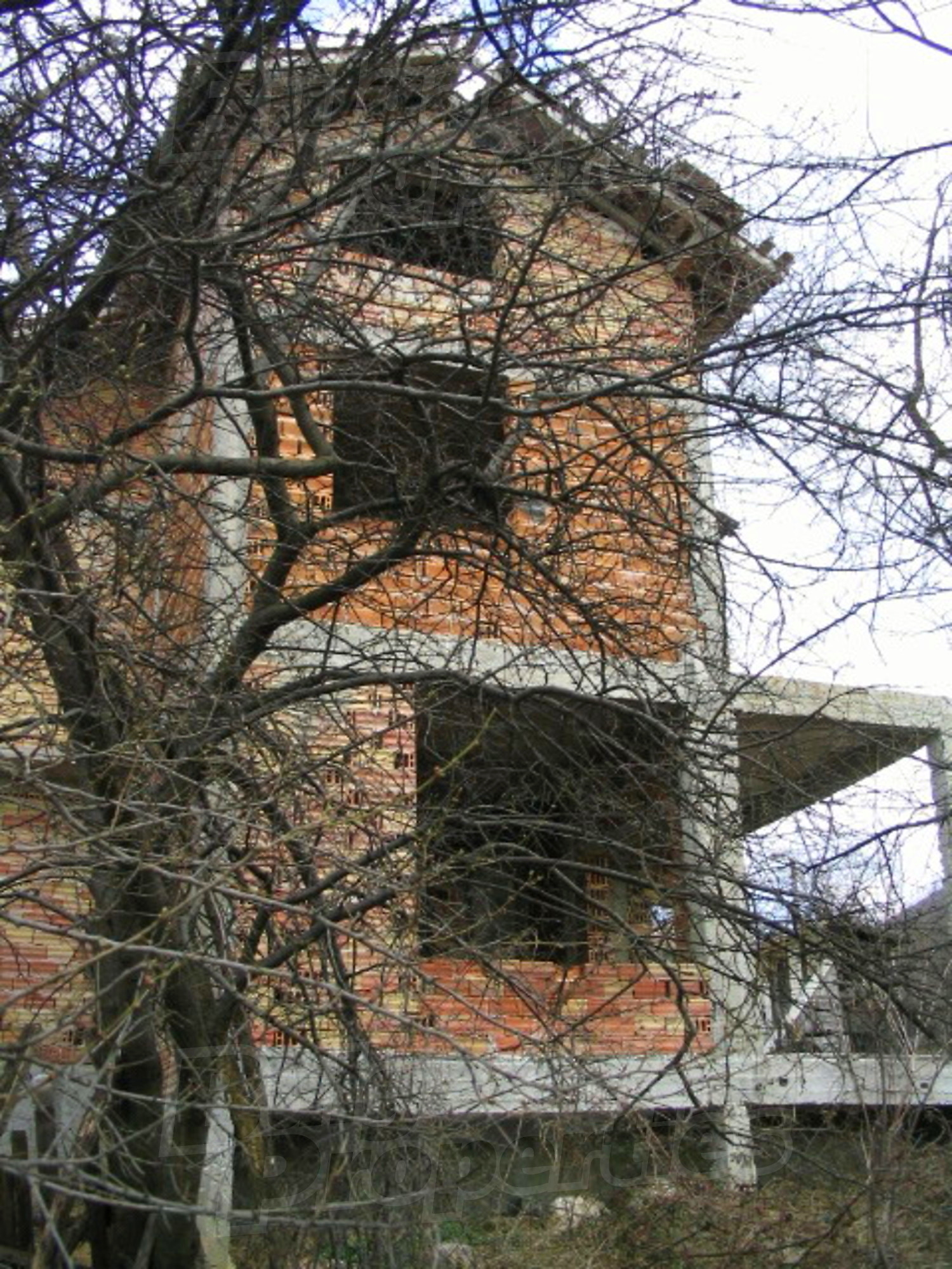 Gallery Picture 2