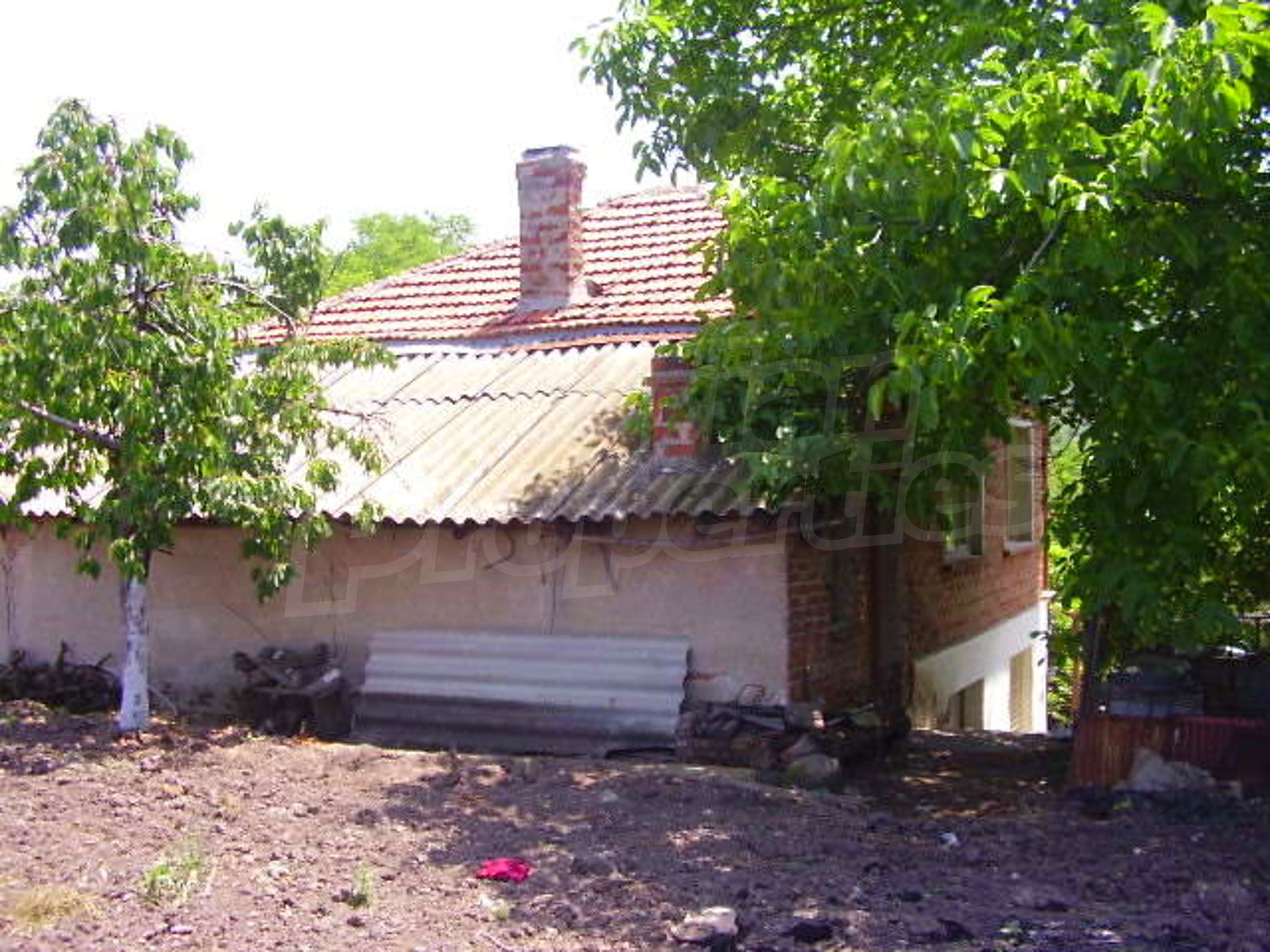 Gallery Picture 7