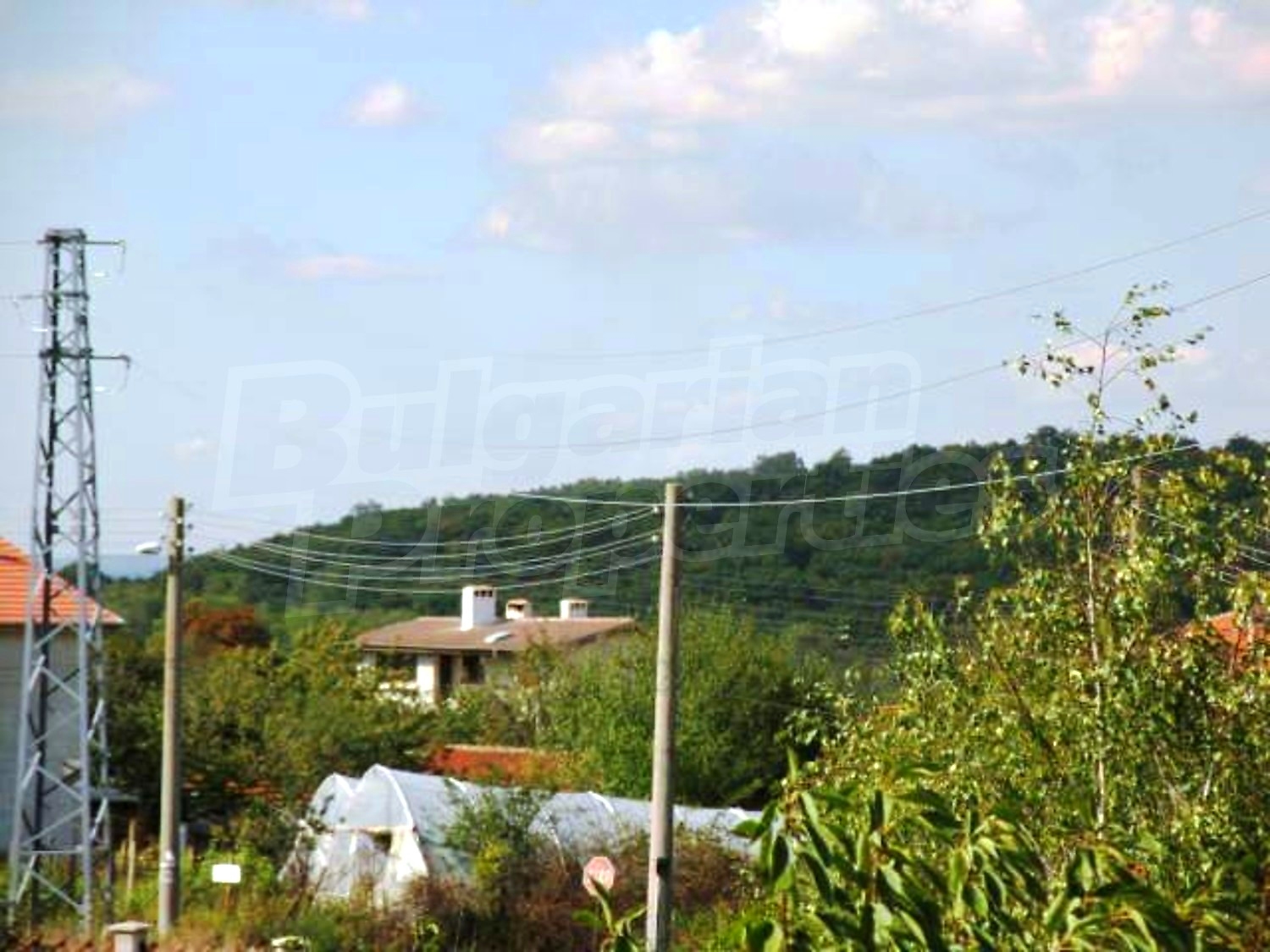 Gallery Picture 27