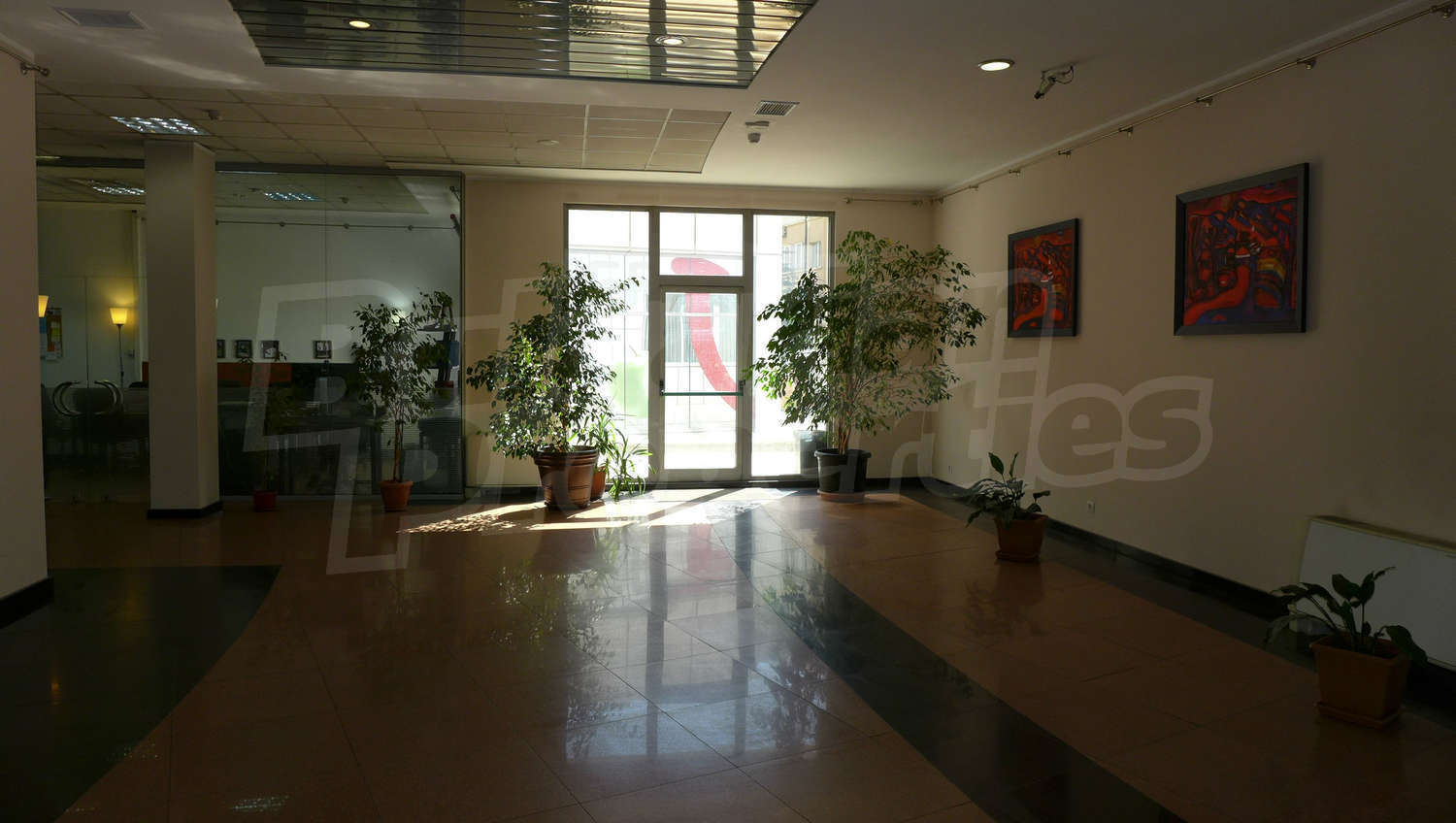 Gallery Picture 15