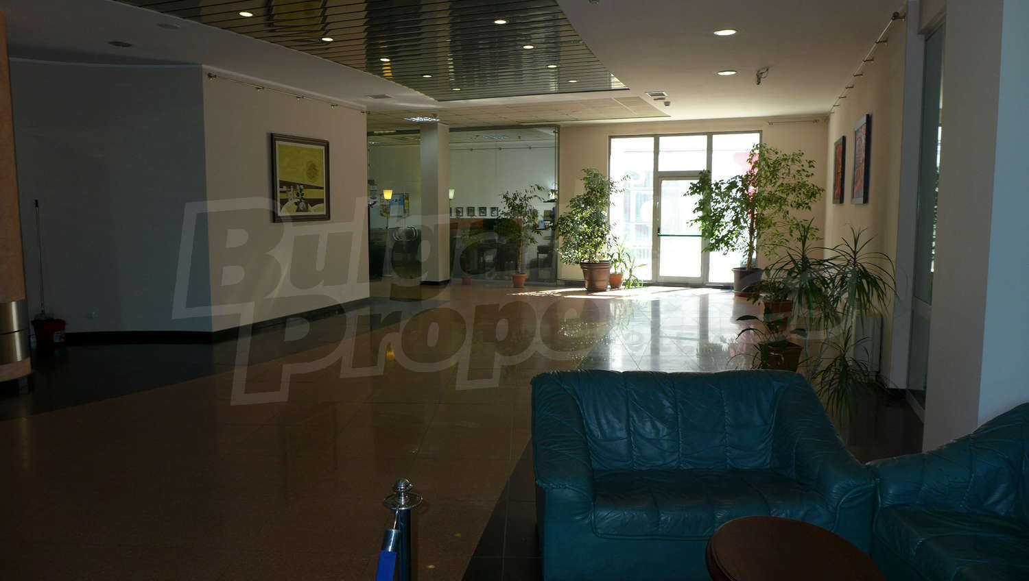 Gallery Picture 17