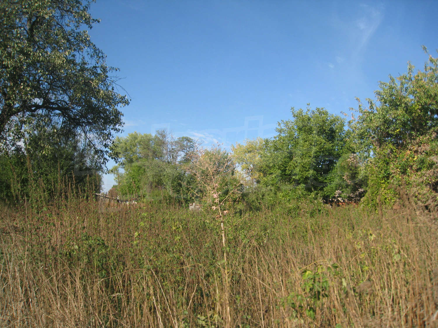 Gallery Picture 12