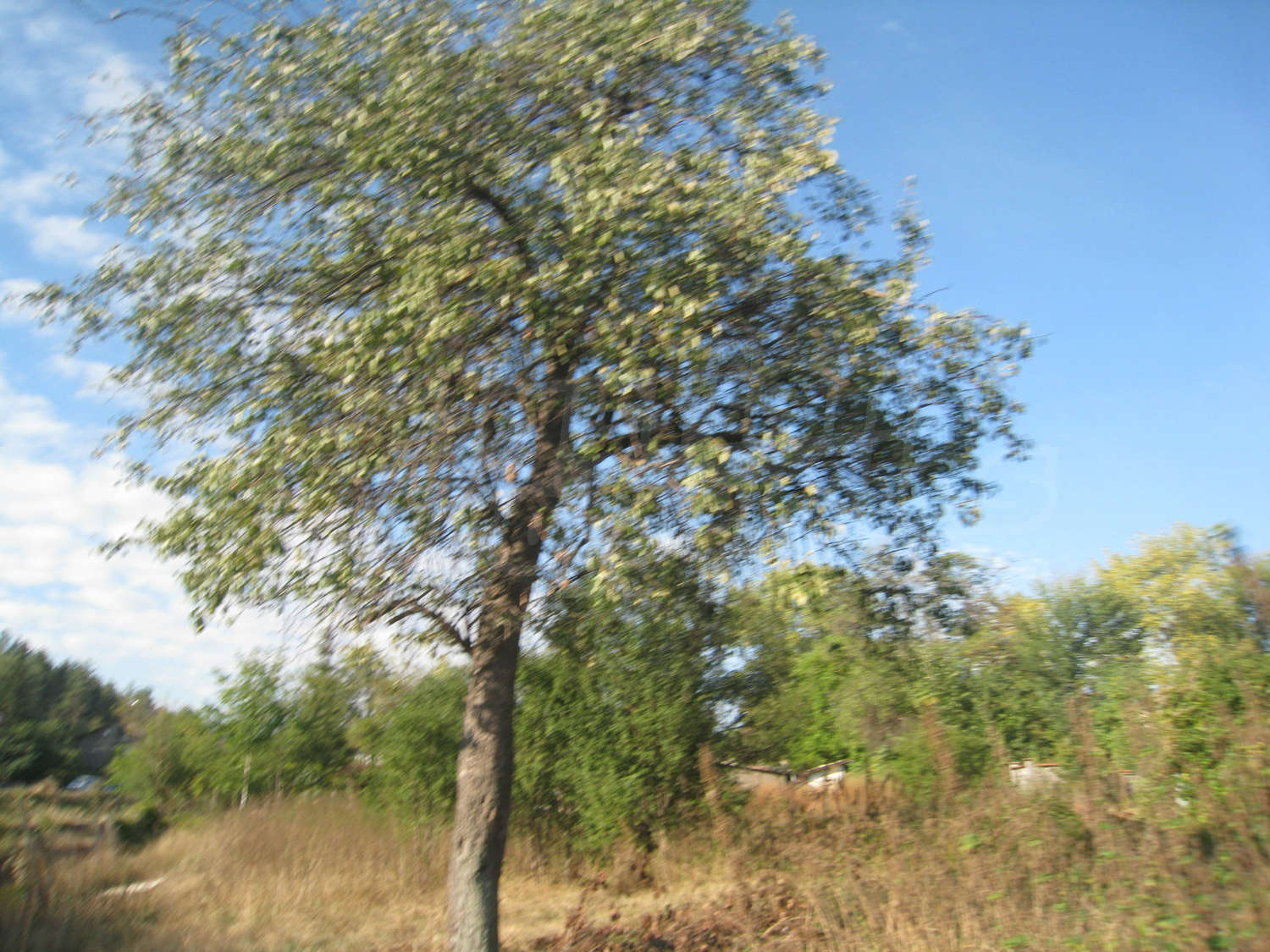 Gallery Picture 13