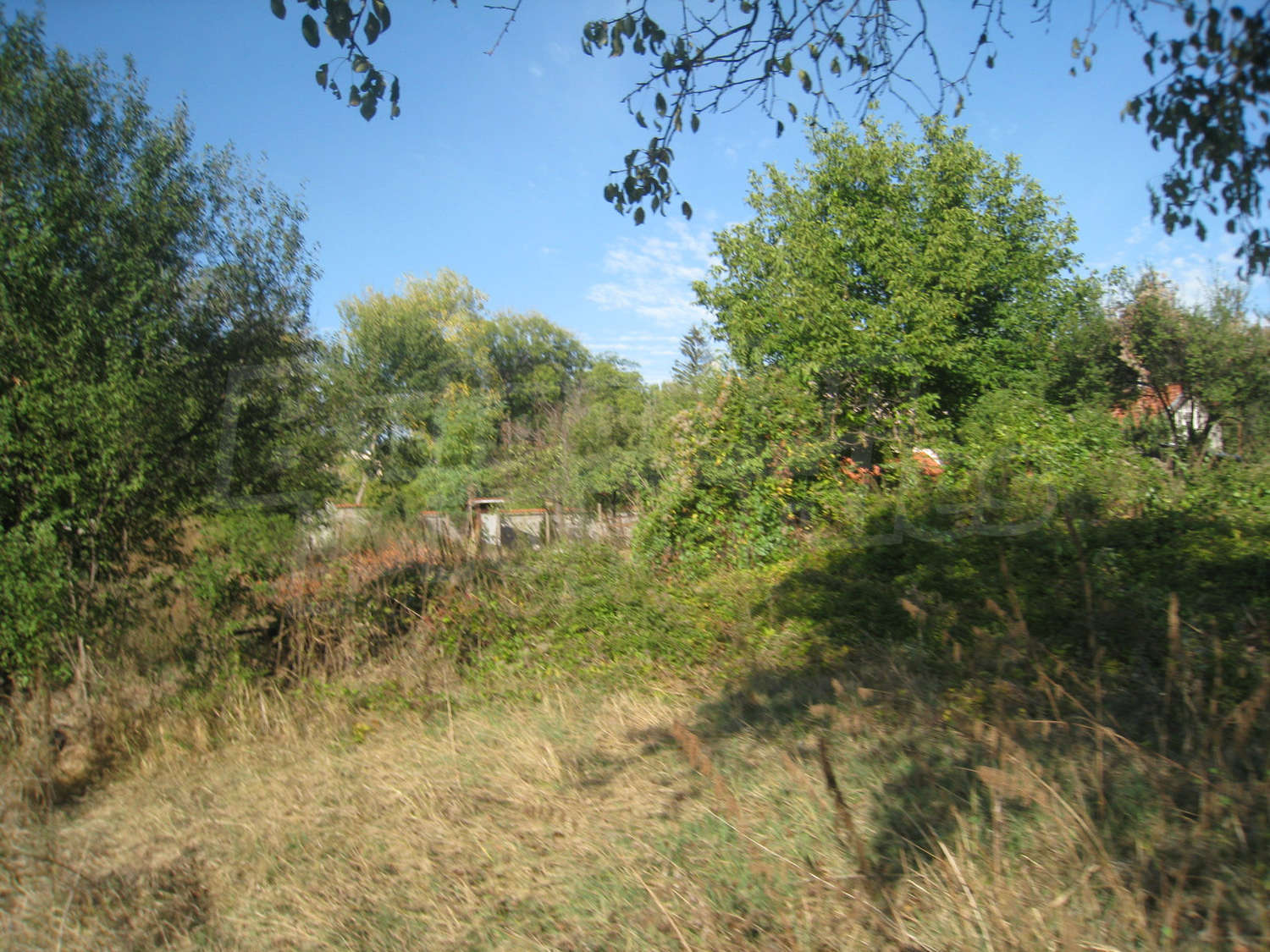 Gallery Picture 14